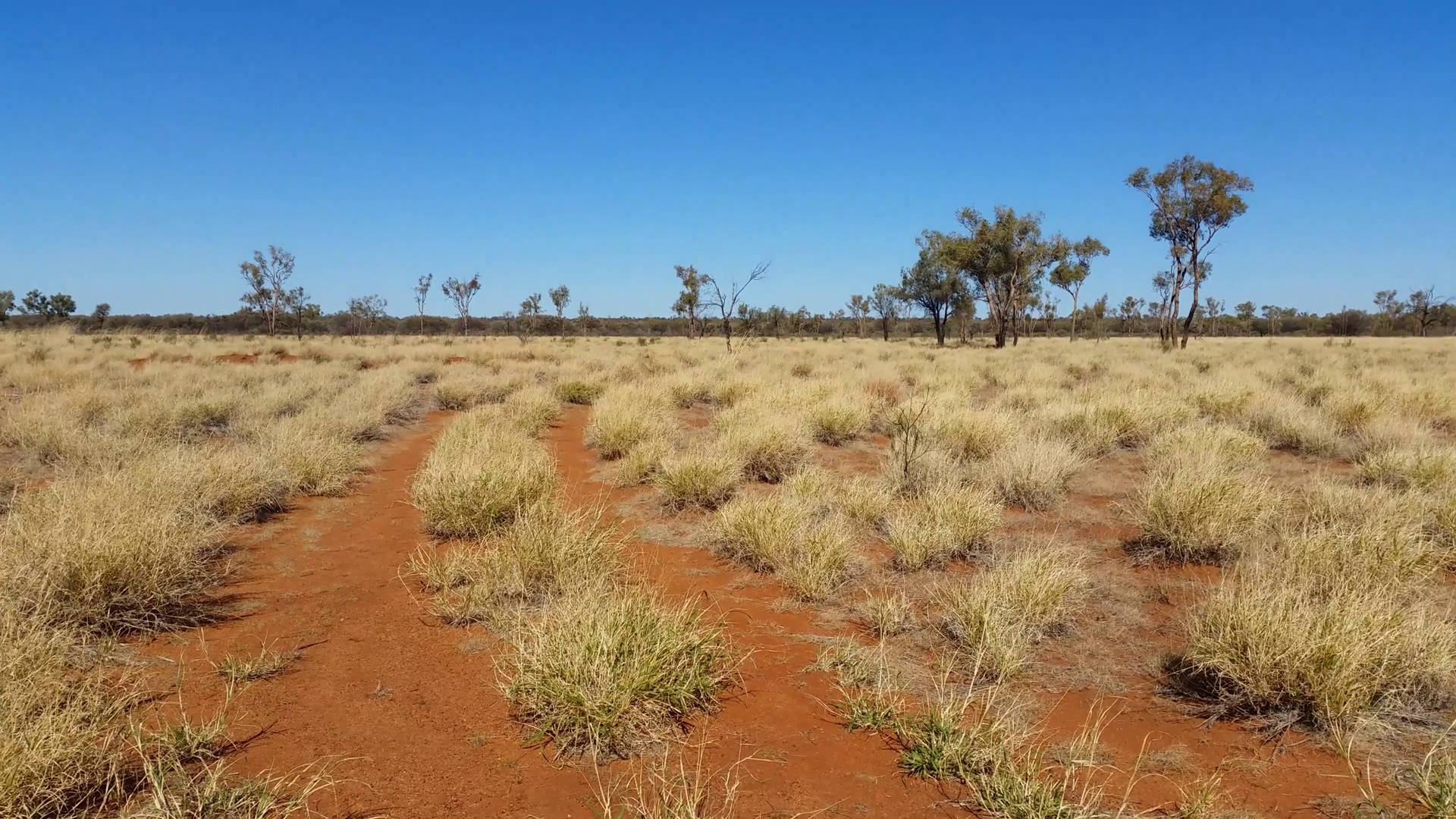 Australian Outback Red Soil Wallpaper