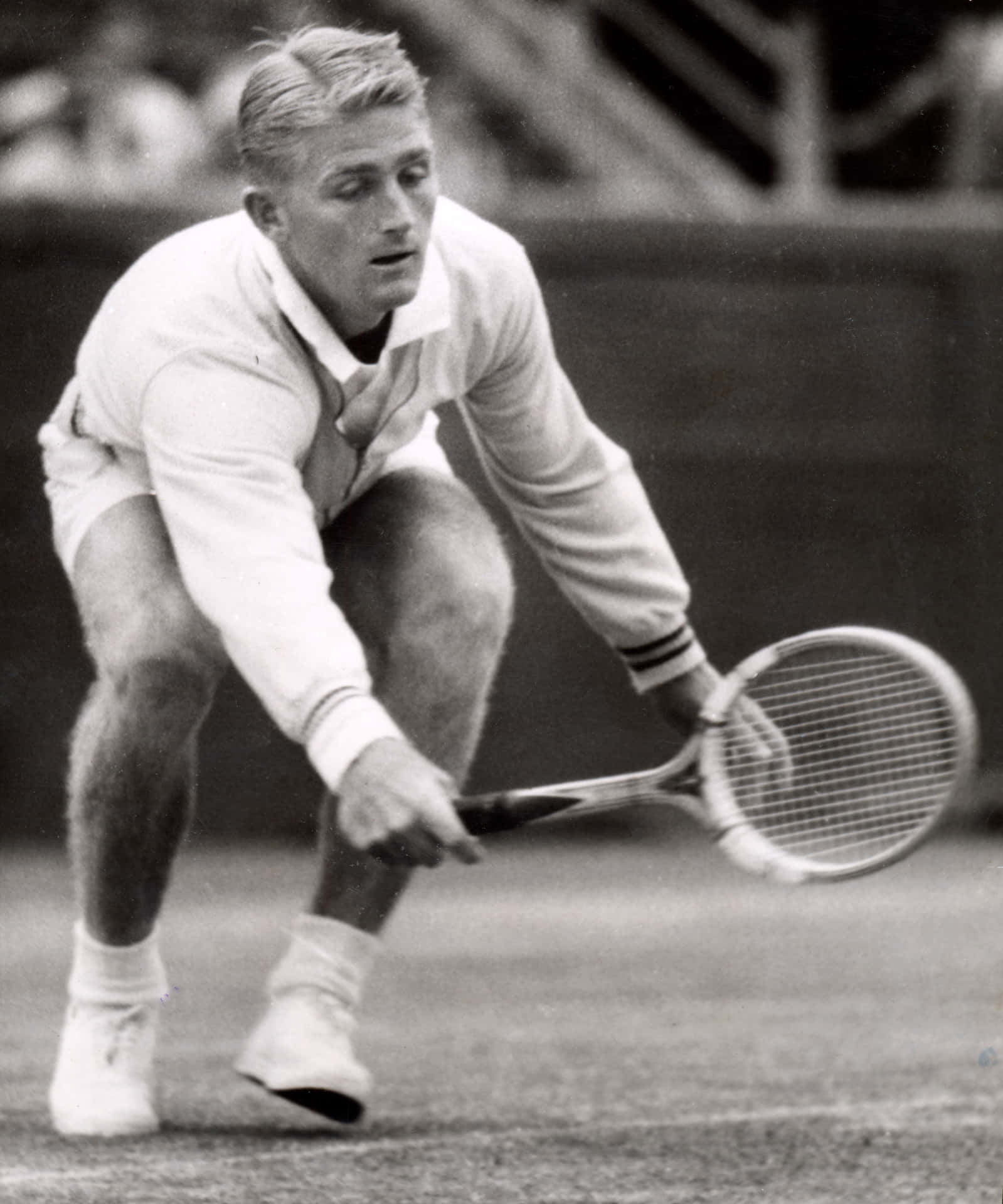 Australisk tennisspiller Lew Hoad 1954 Wallpaper