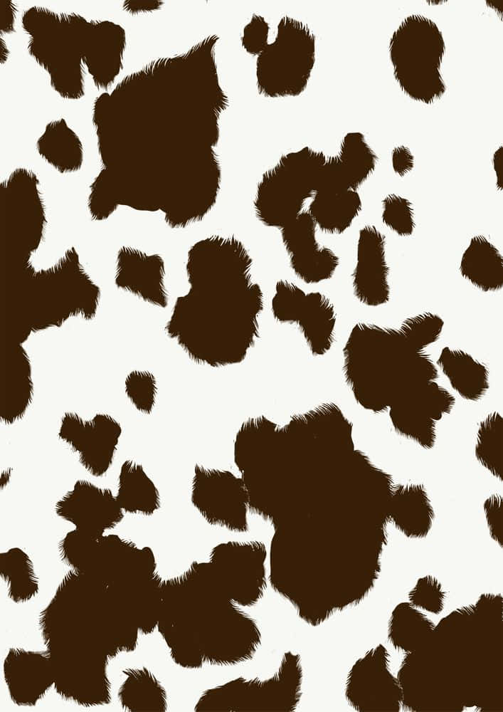 Authentic Black And White Cow Print Pattern Background