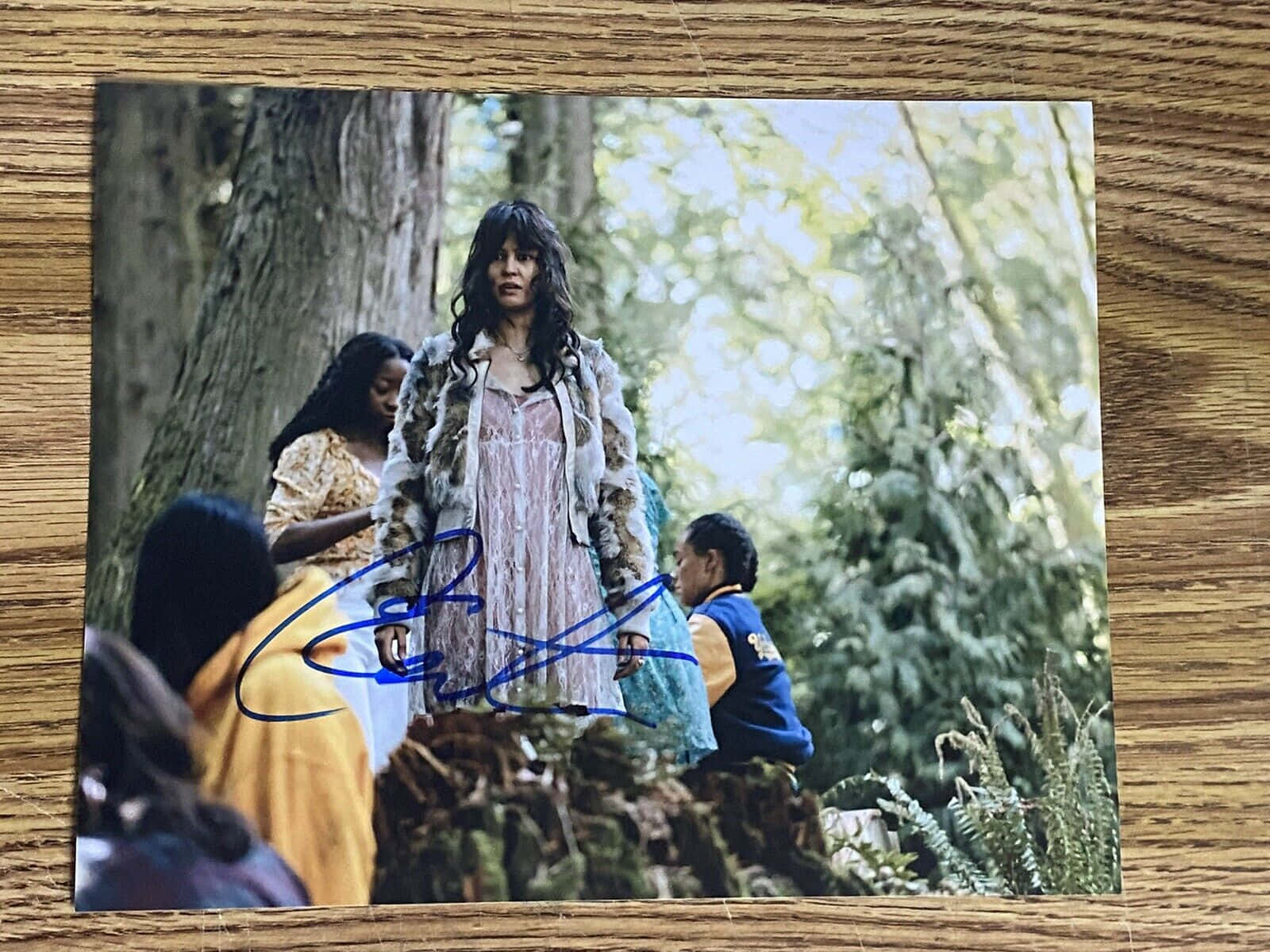 Photo Autographiée De Scène Forestière Fond d'écran