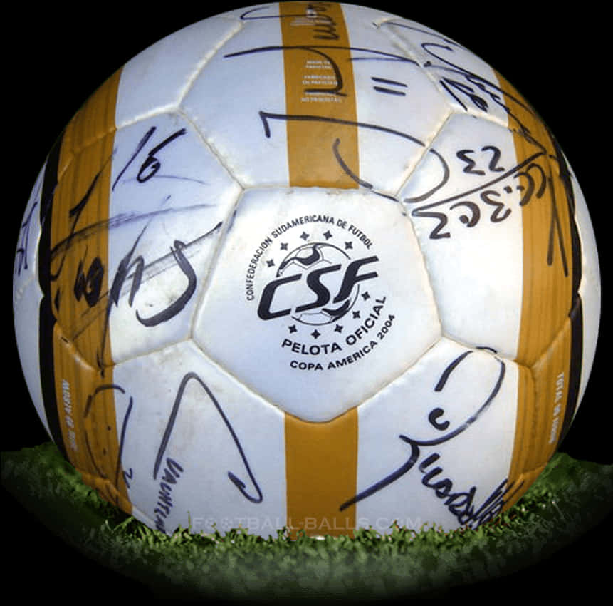 Autographed Soccer Ball Copa America PNG