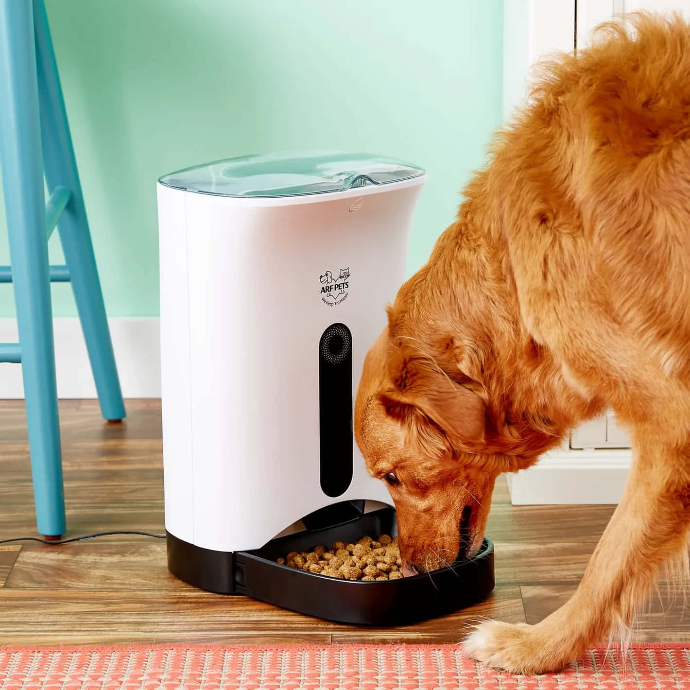 Alimentadorautomático Alimentando A Un Perro. Fondo de pantalla