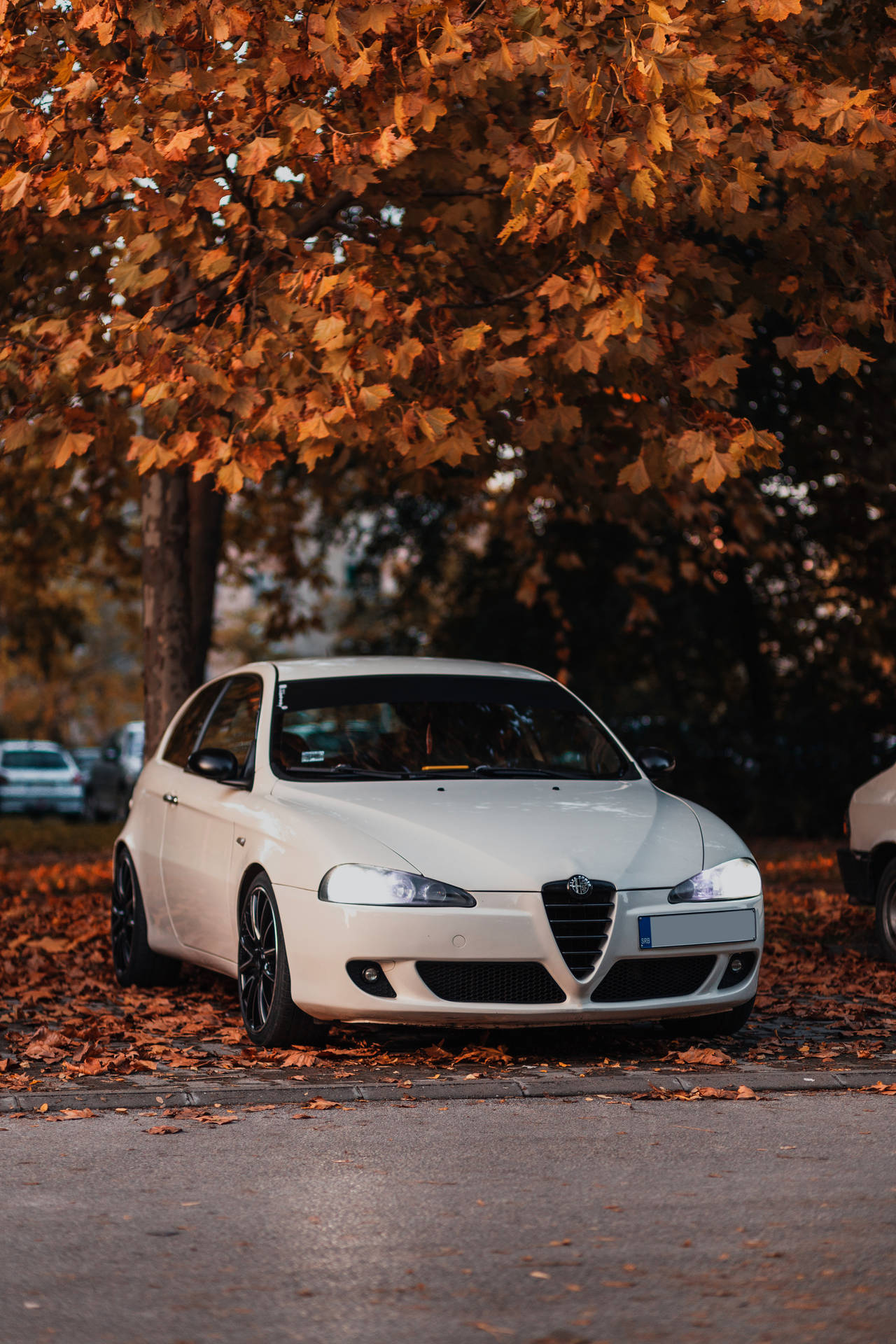 White Alfa Romeo 147 family car under autumn tree wallpaper.