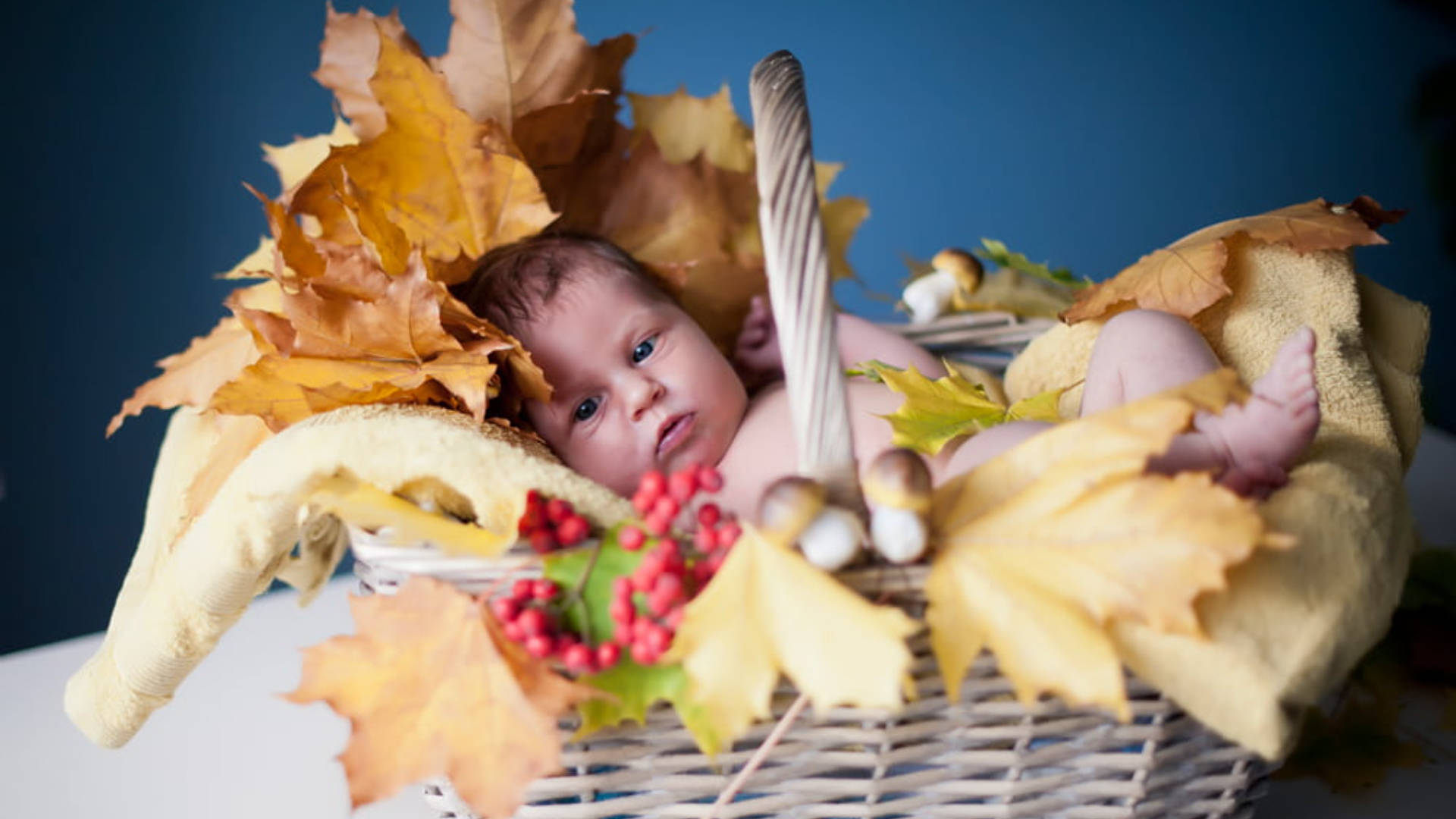 Autumn Basket With Baby Love Wallpaper