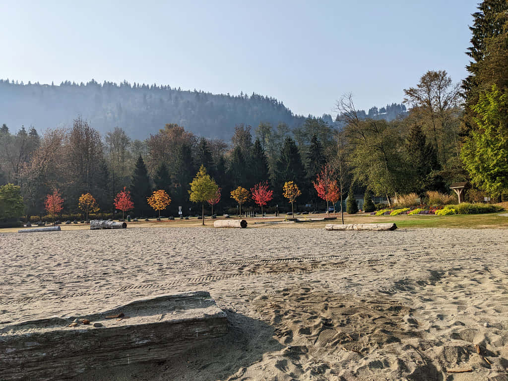 Autumn Beach Park Burnaby Wallpaper