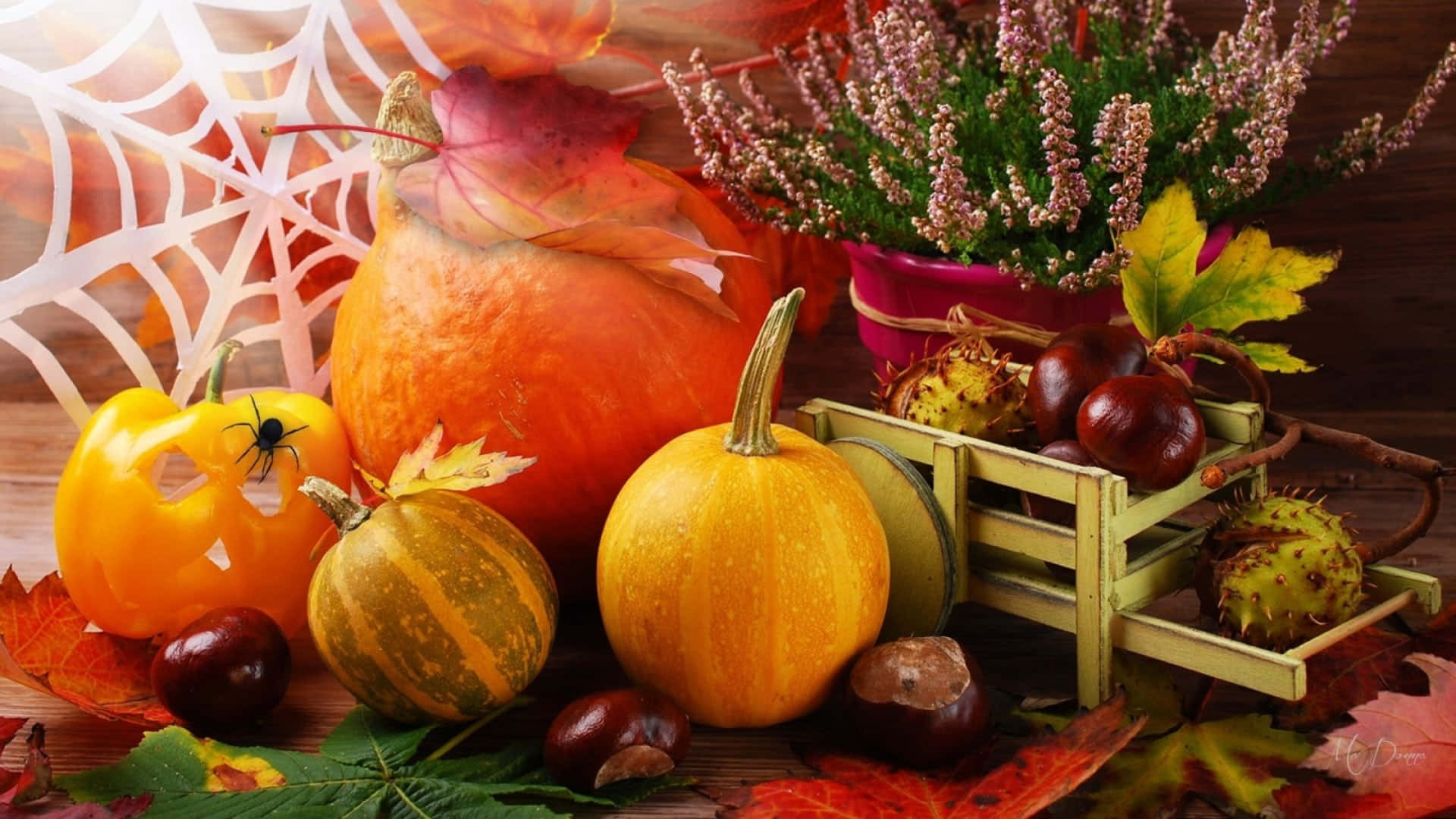 Caption: A Bountiful Autumn Harvest Wallpaper
