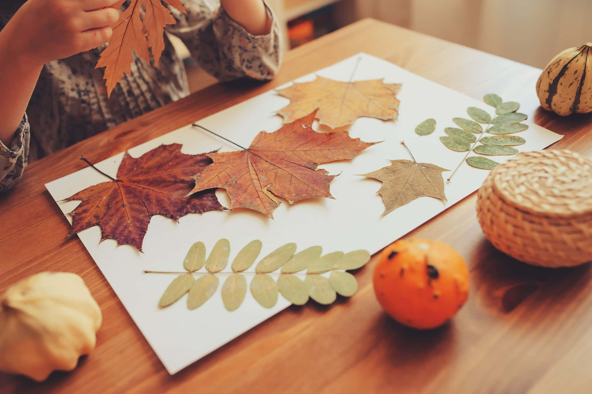Abundant Autumn Harvest Wallpaper