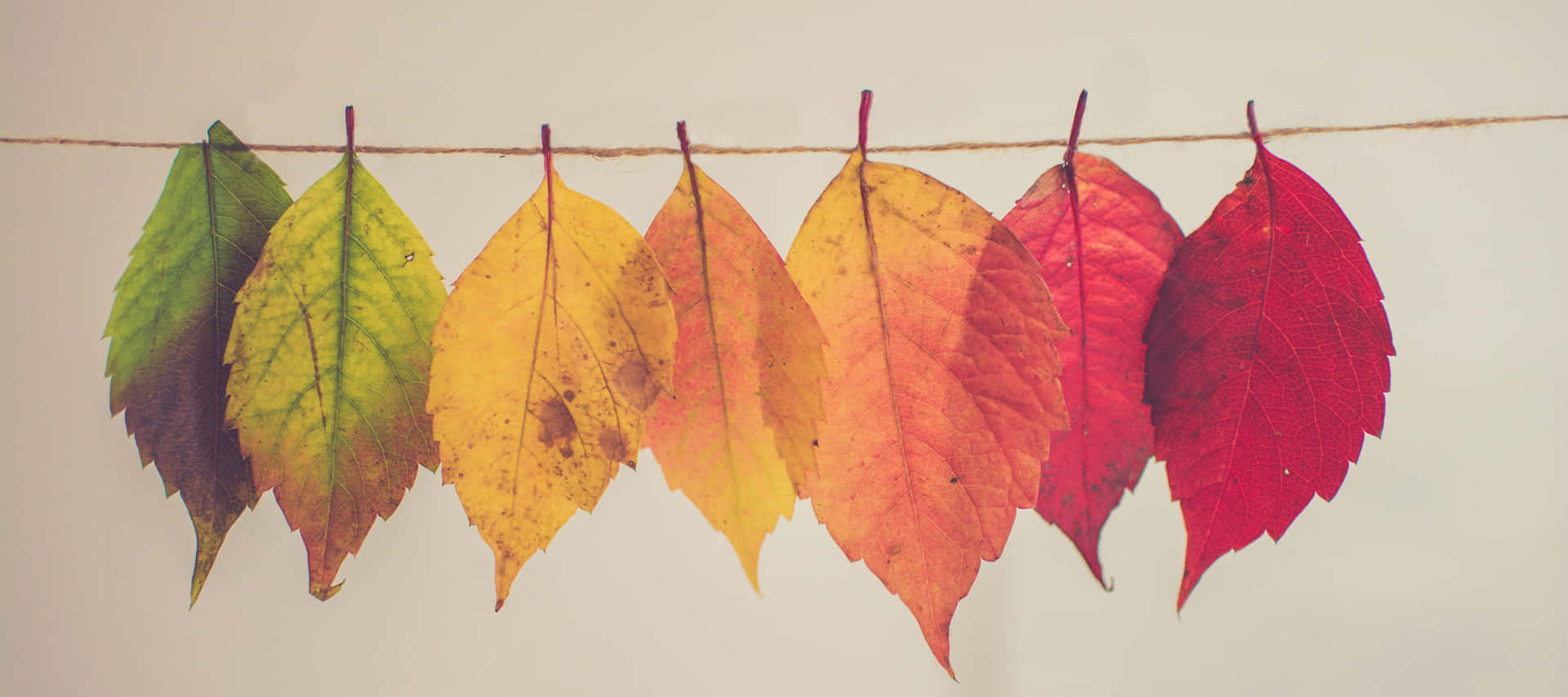Enchanting Autumn Bounty Landscape Wallpaper