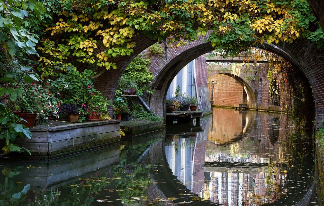 Autumn Canal Utrecht Netherlands Wallpaper