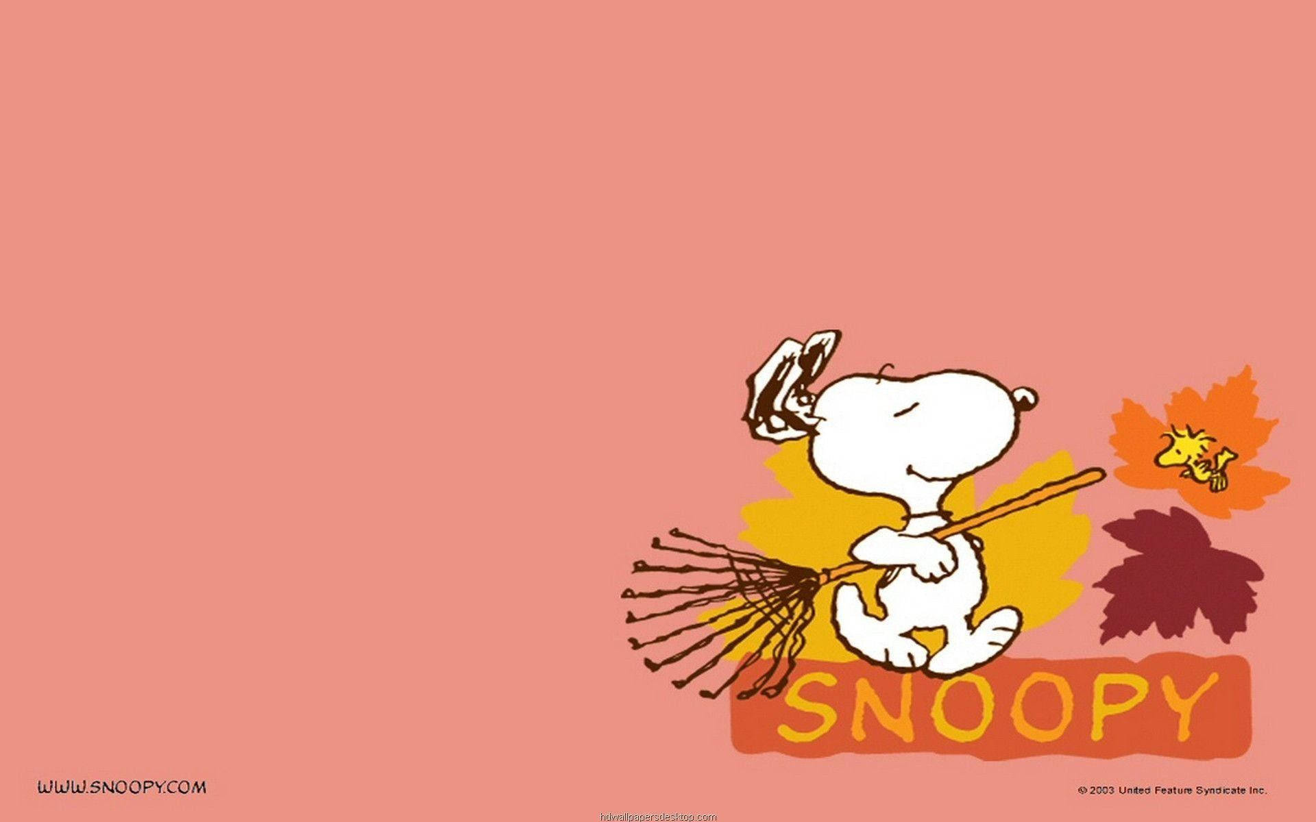 Snoopy Gives His Room Some Autumn Love Wallpaper