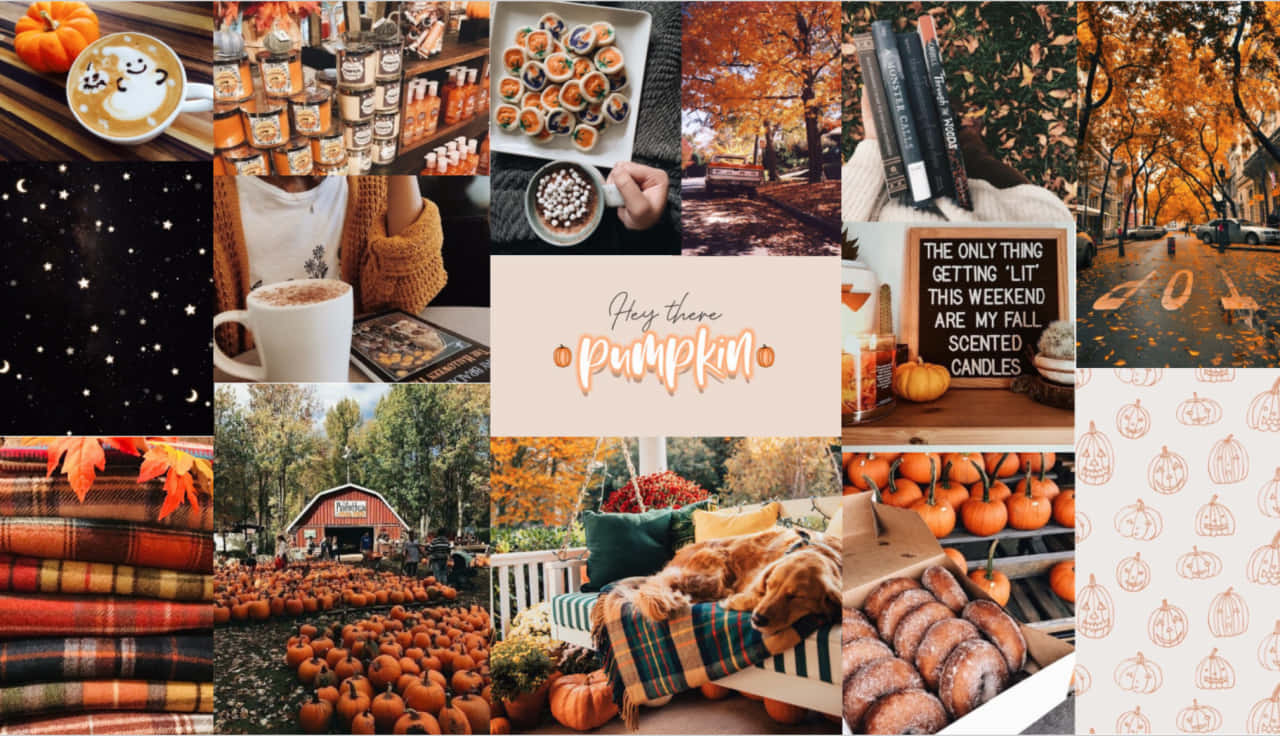 Autumn Collage Pumpkins Wallpaper