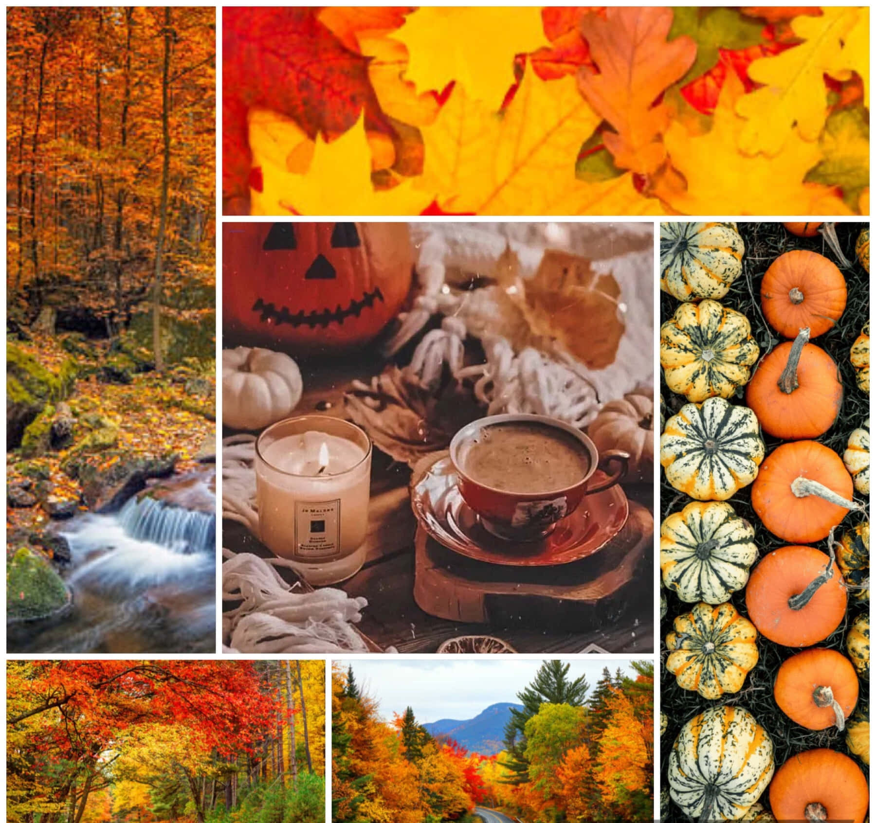 Autumn Collage With Pumpkins, Leaves And A Stream Wallpaper
