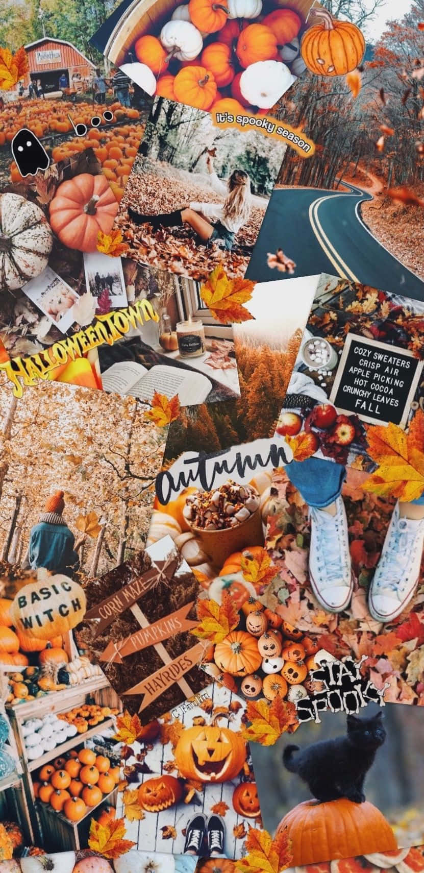 Nyd farverne fra efteråret med det smukke efterårs collage. Wallpaper