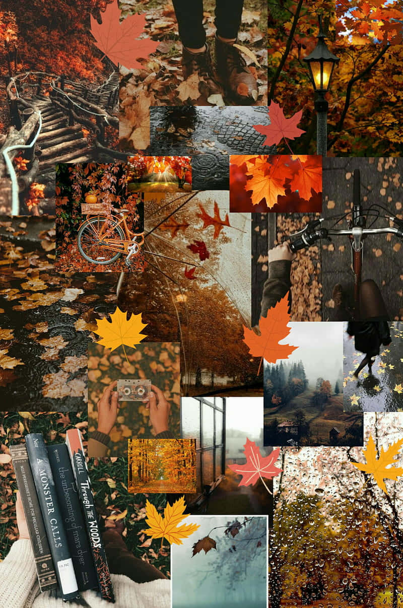 Autumn Collage_ Aesthetic.jpg Wallpaper