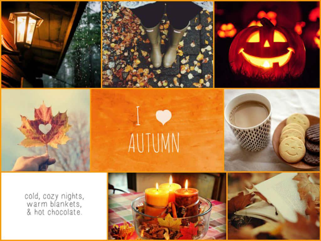 A Collage of Nature's Autumnal Beauty Wallpaper
