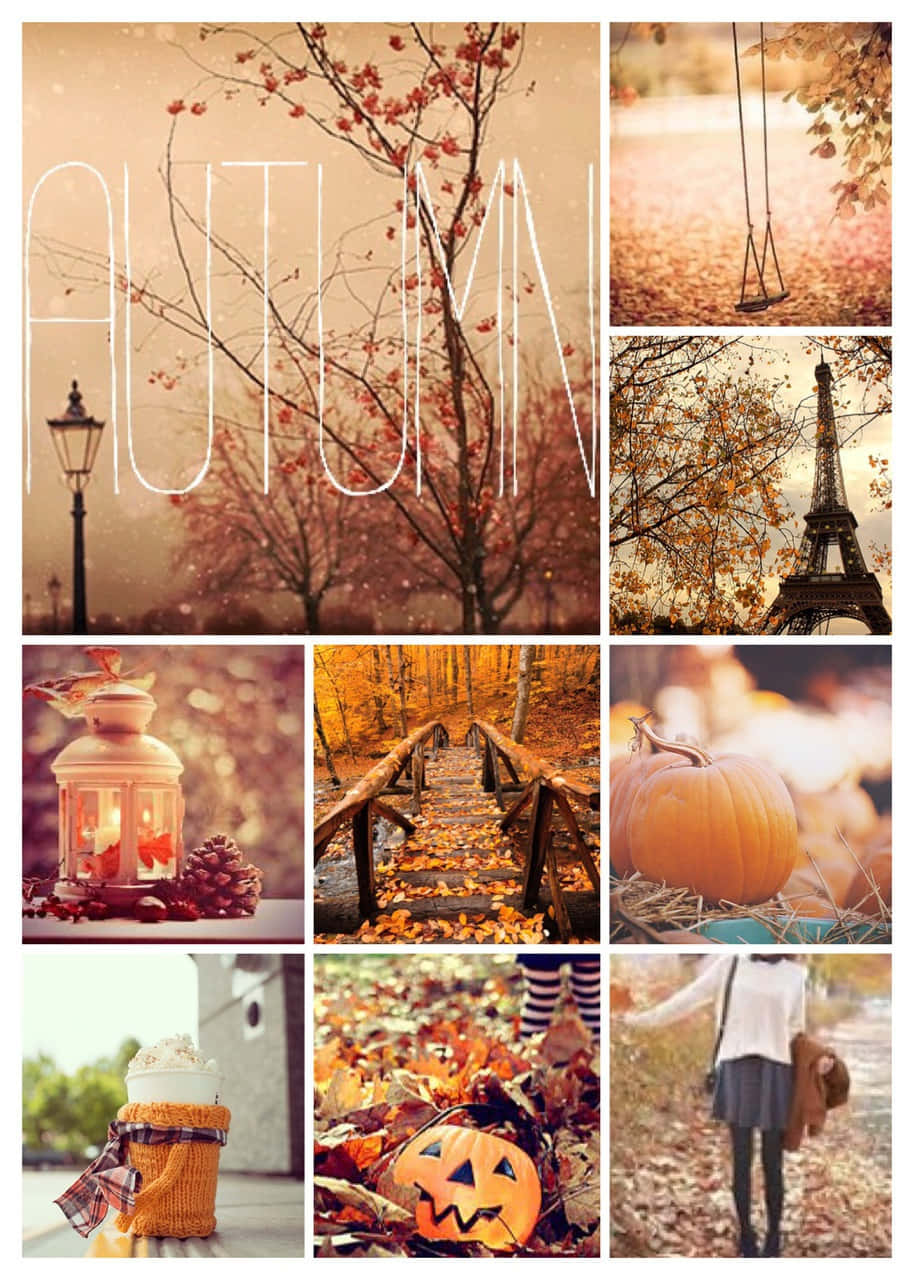Autumn Aesthetic Collage Wallpaper
