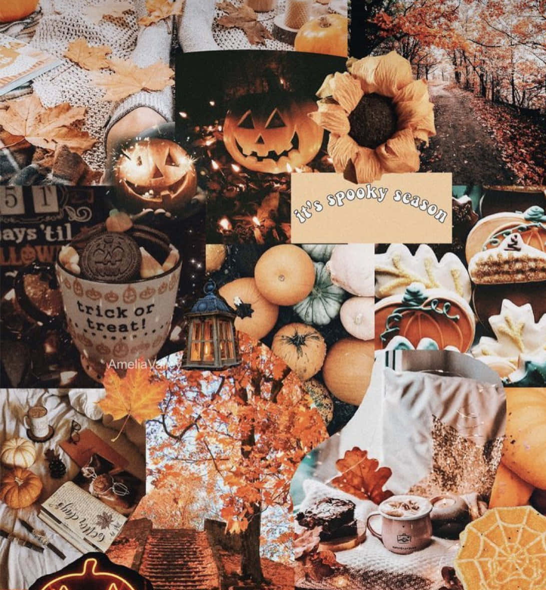 A Collage Of Autumn Pictures And Pumpkins Wallpaper