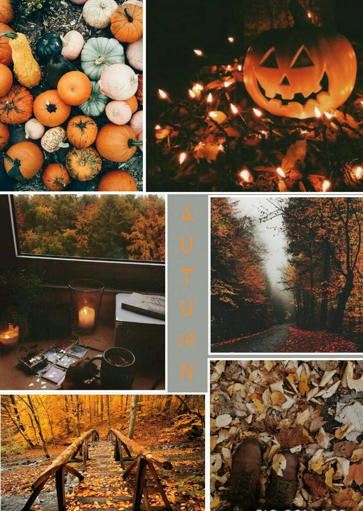 Skønheden af ​​efterårsblade Wallpaper