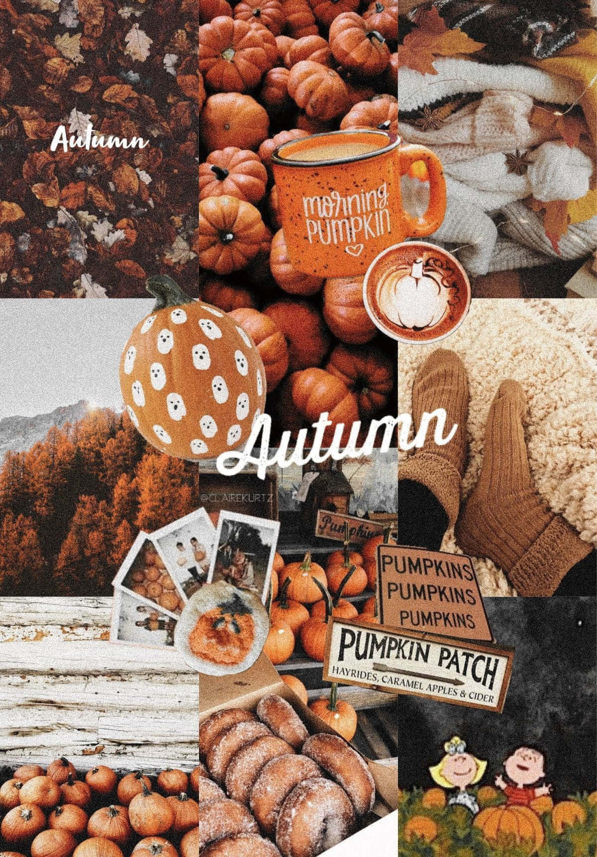 An artistic collage of Autumn in full bloom. Wallpaper