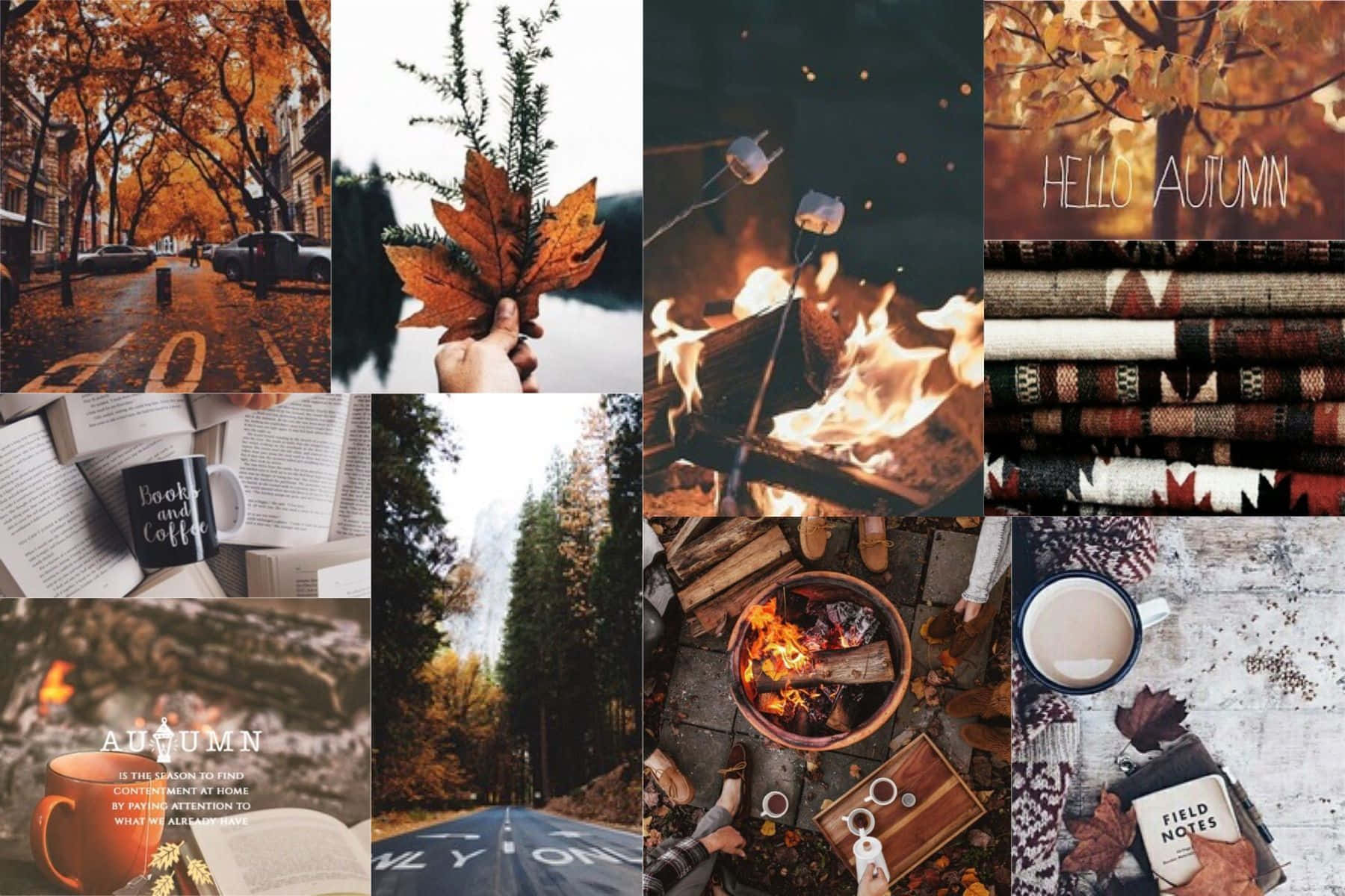 Celebral'autunno Con Questa Colorata Collage. Sfondo