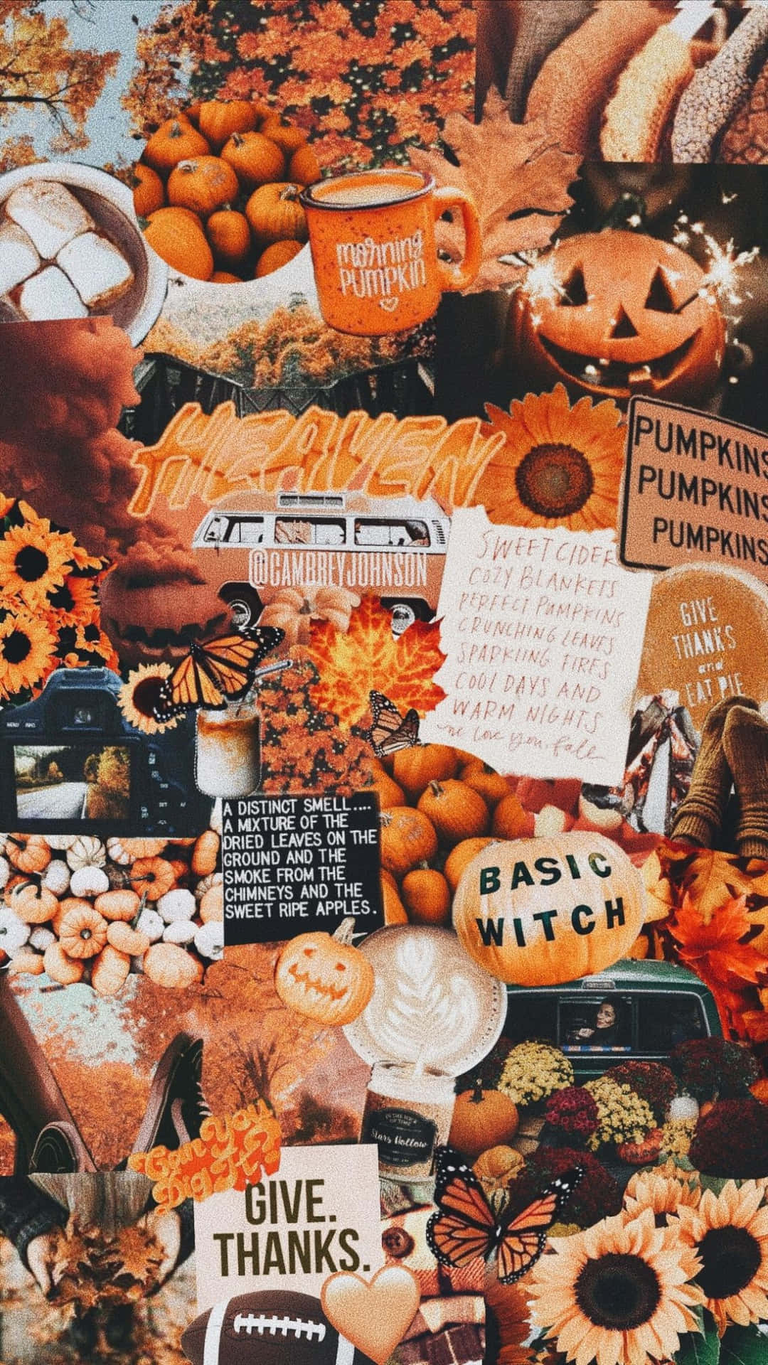 En collage af efterårsblade og græskar Wallpaper
