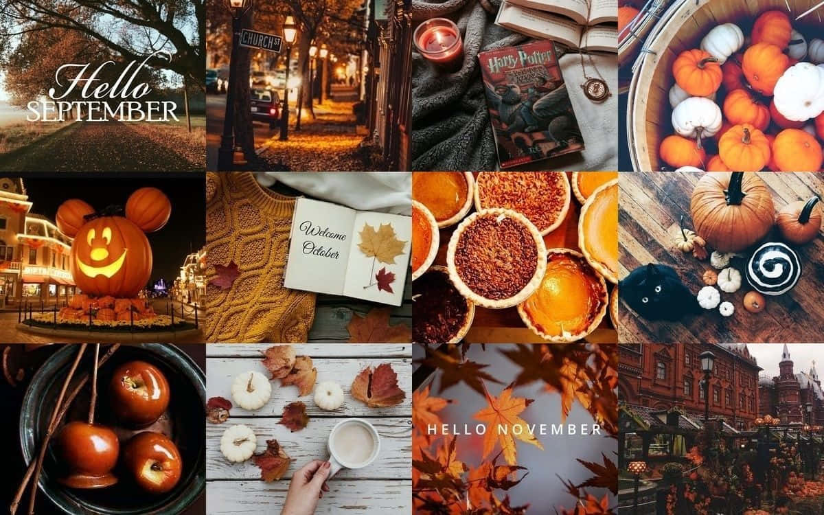 En collage af billeder af gange, gange og andre ting, der er forbundet med efteråret. Wallpaper