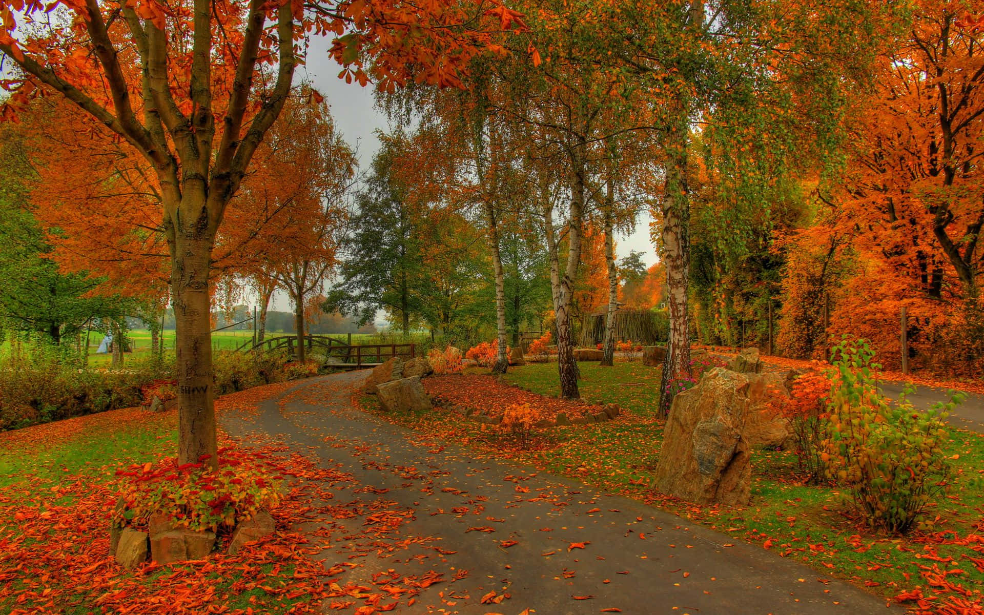 Vibrant autumn foliage beside a tranquil lake Wallpaper