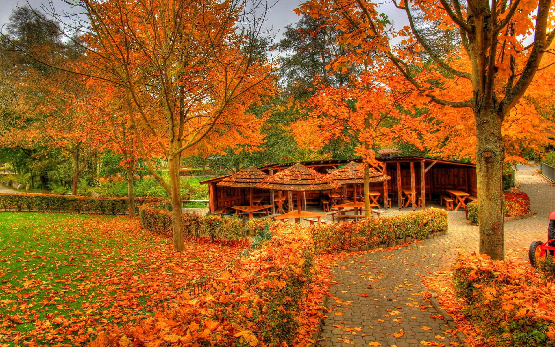 A Serene Stroll through Autumn Hues Wallpaper