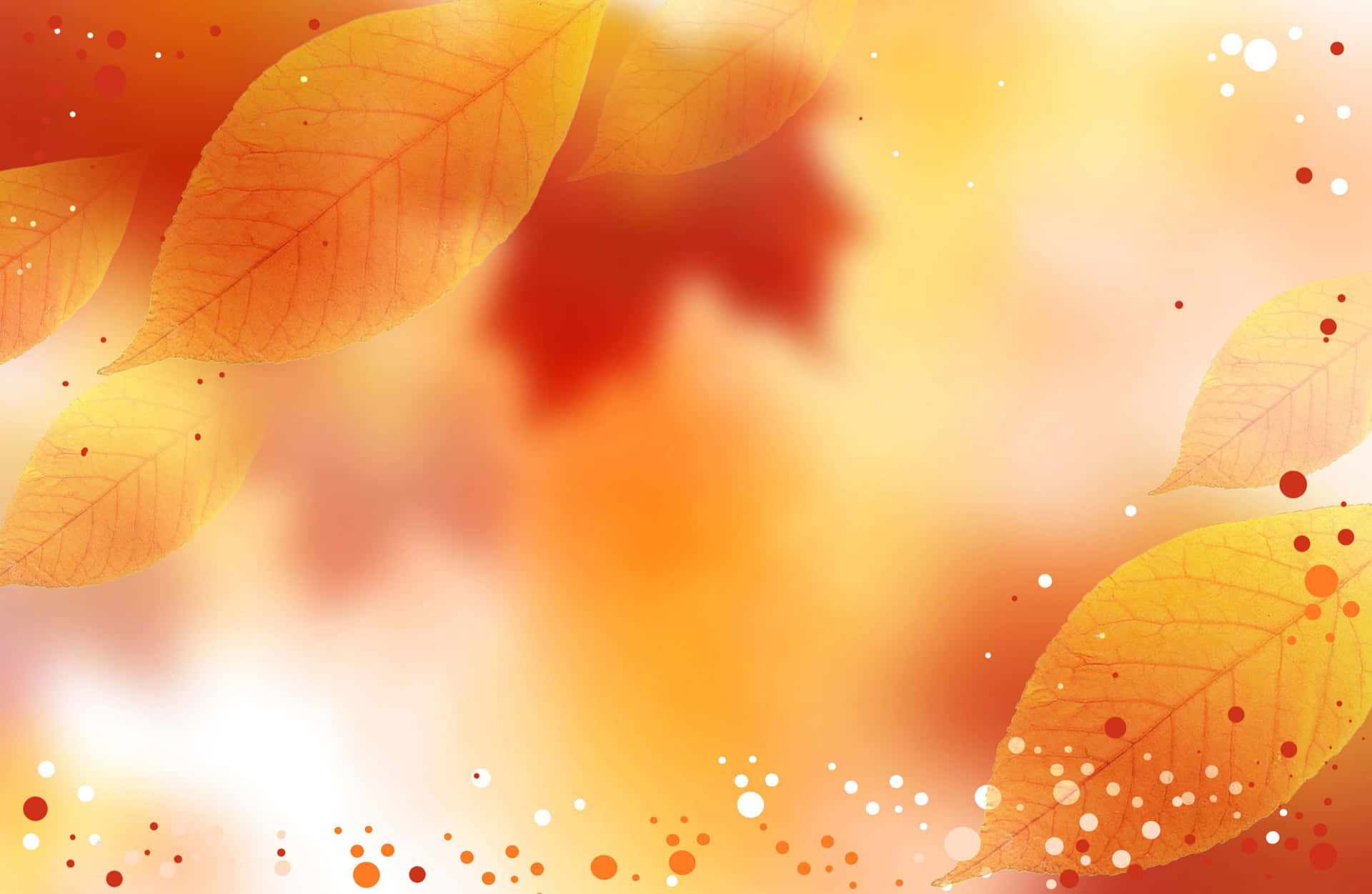 Captivating Autumn Colors Display Wallpaper