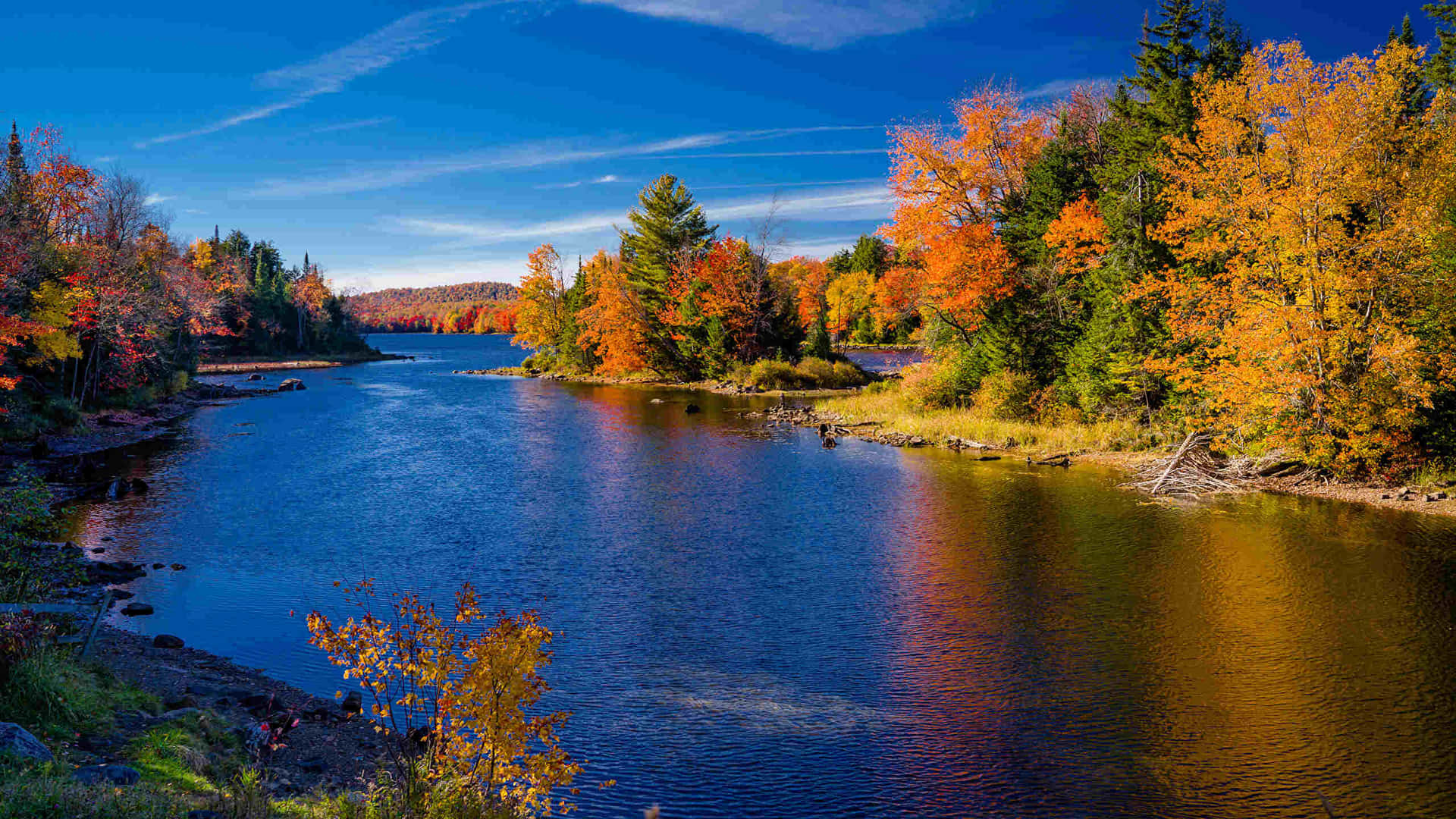 Autumn Colors Lake Hamilton Wallpaper