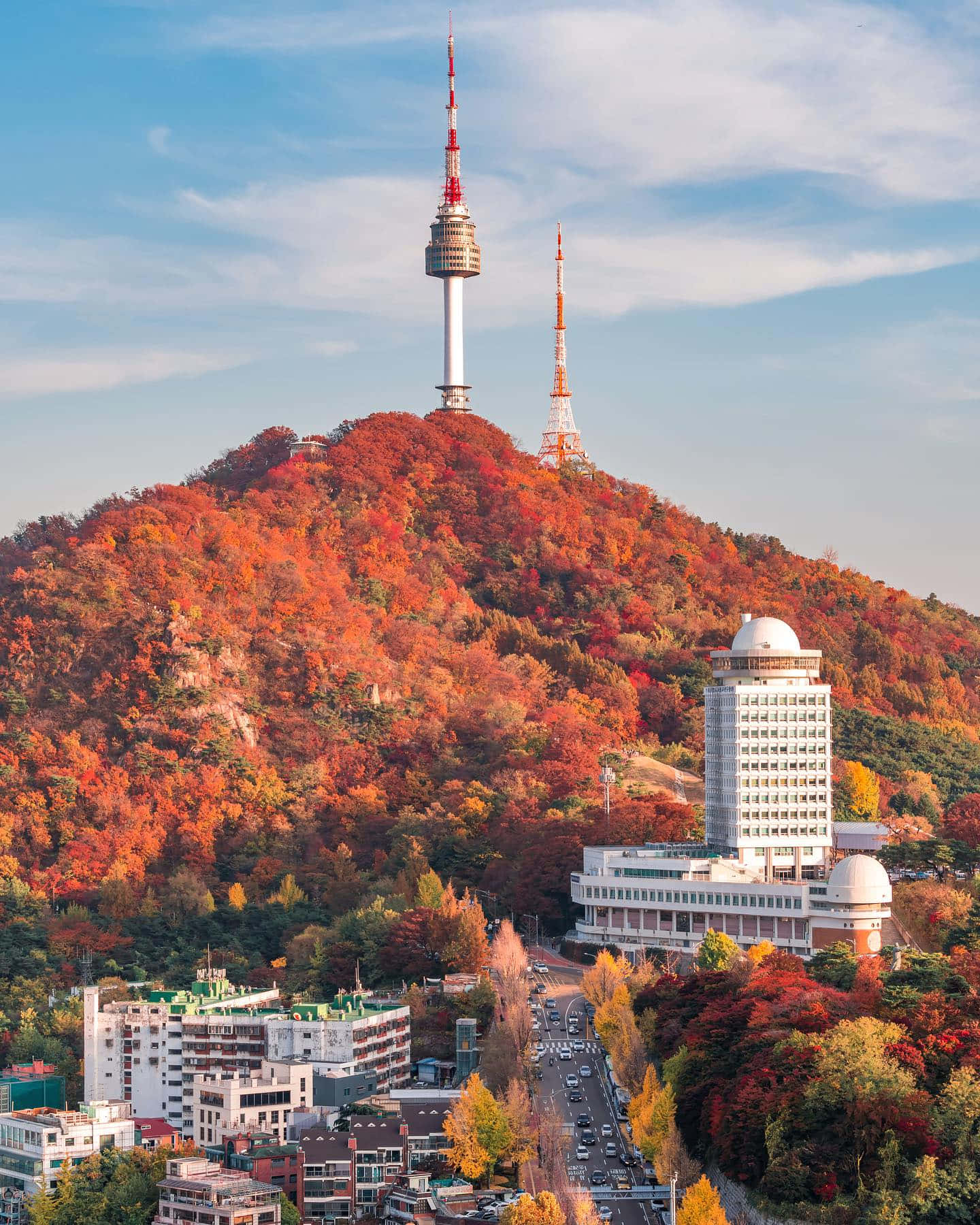 Download Autumn Colorsat Namsan Seoul Tower Wallpaper | Wallpapers.com