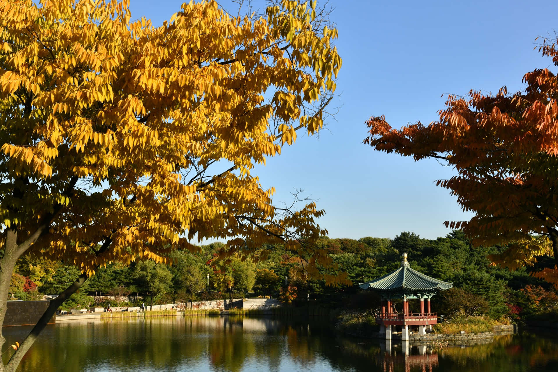 Autumn Colorsat National Museumof Korea Pond Wallpaper