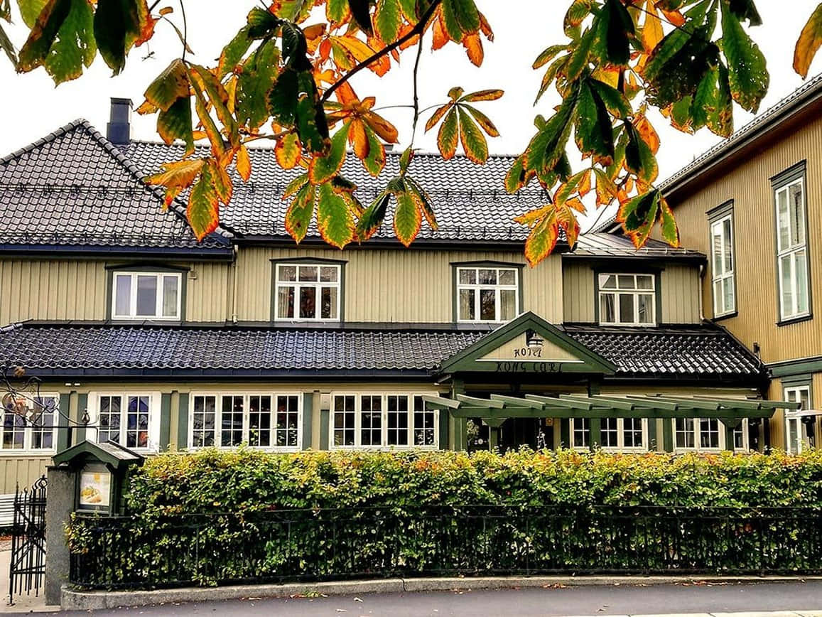 Autumn Colorsat Sandefjord Hotel Wallpaper