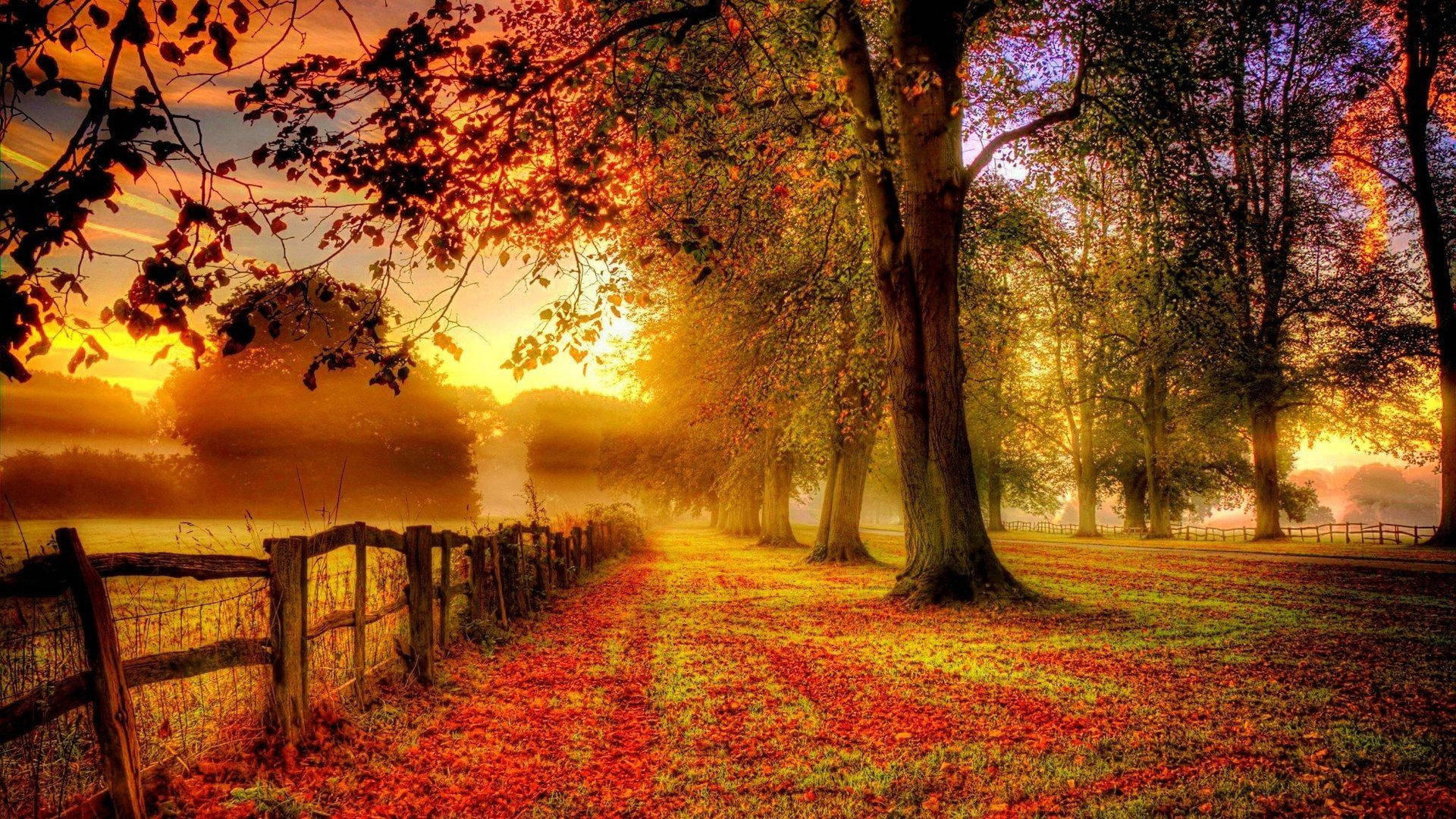 Autumn Country Road Sunset Wallpaper