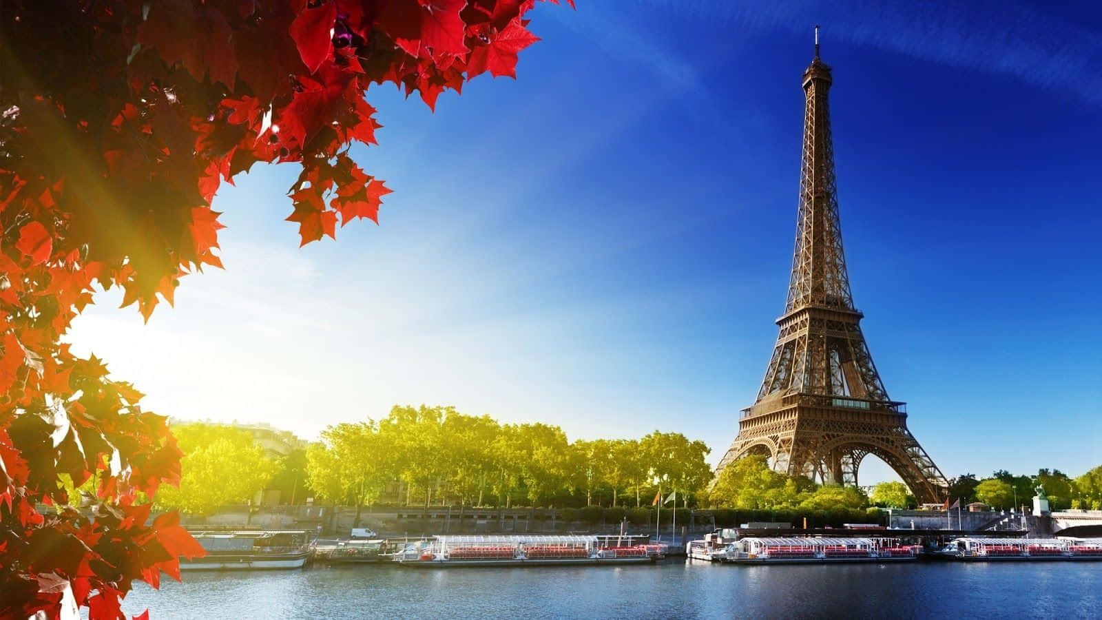 Autumn Eiffel Tower Paris Skyline Wallpaper