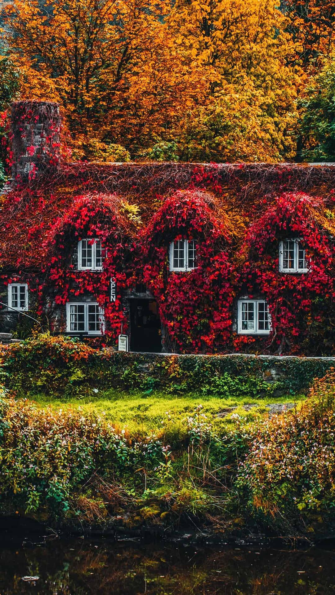 Autumn Enveloped Cottage Wallpaper