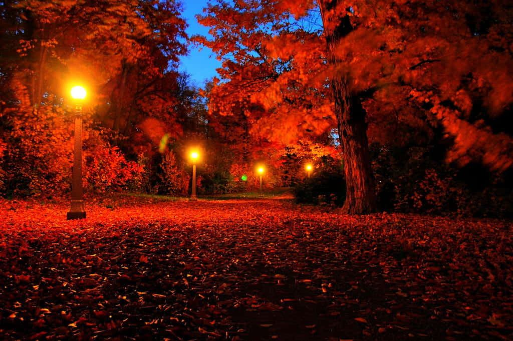 Serene Autumn Evening Wallpaper
