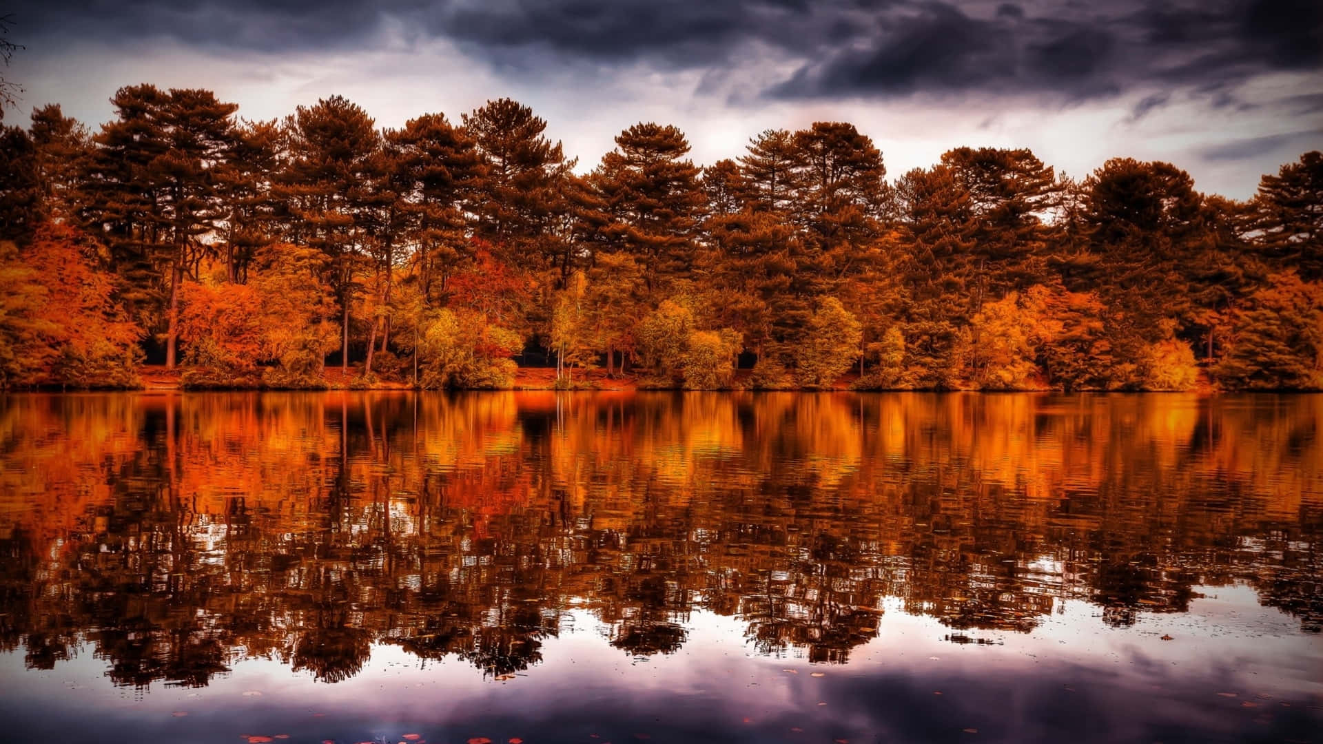 A mesmerizing autumn evening by the lake Wallpaper