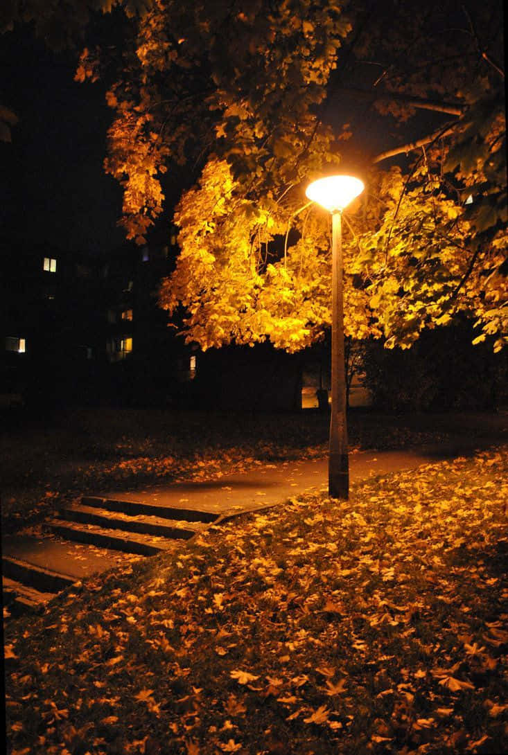 Enchanting Autumn Evening Wallpaper