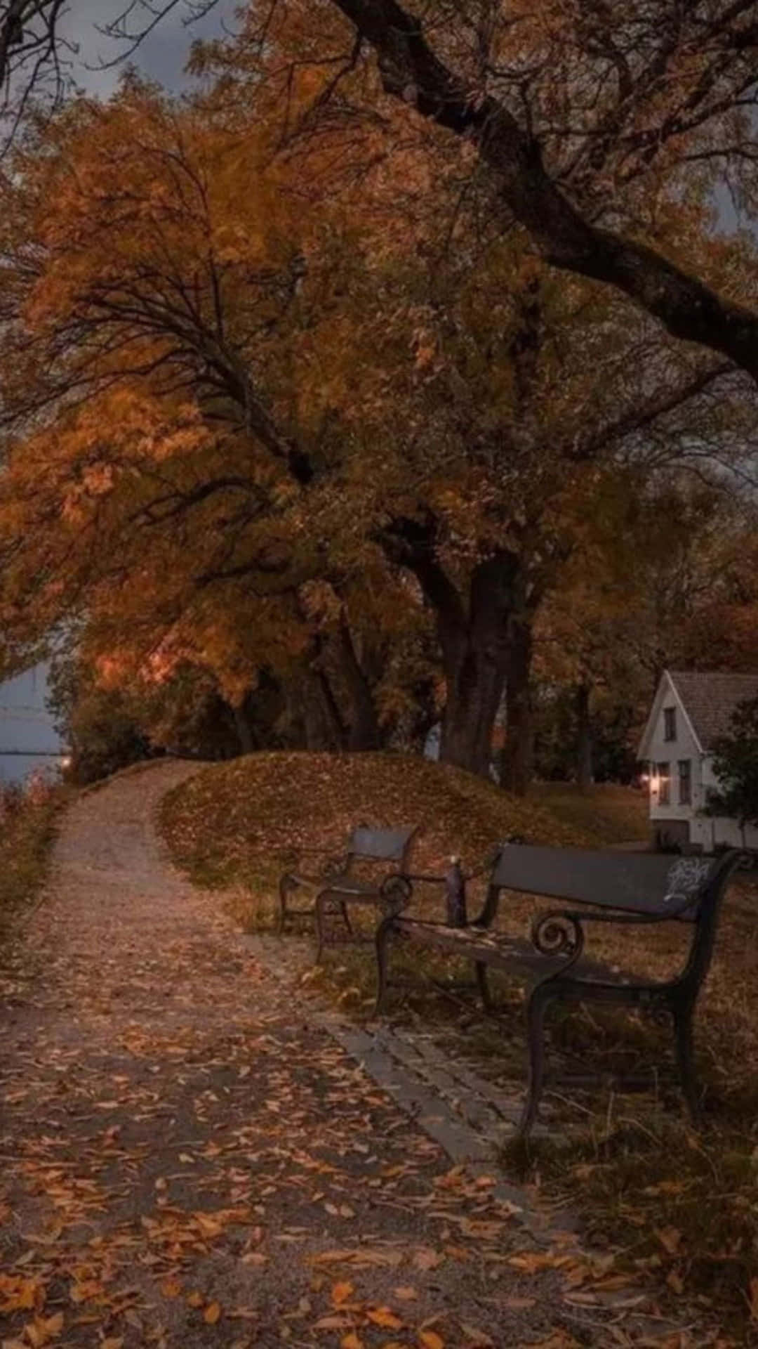 Autumn Evening Park Path.jpg Wallpaper