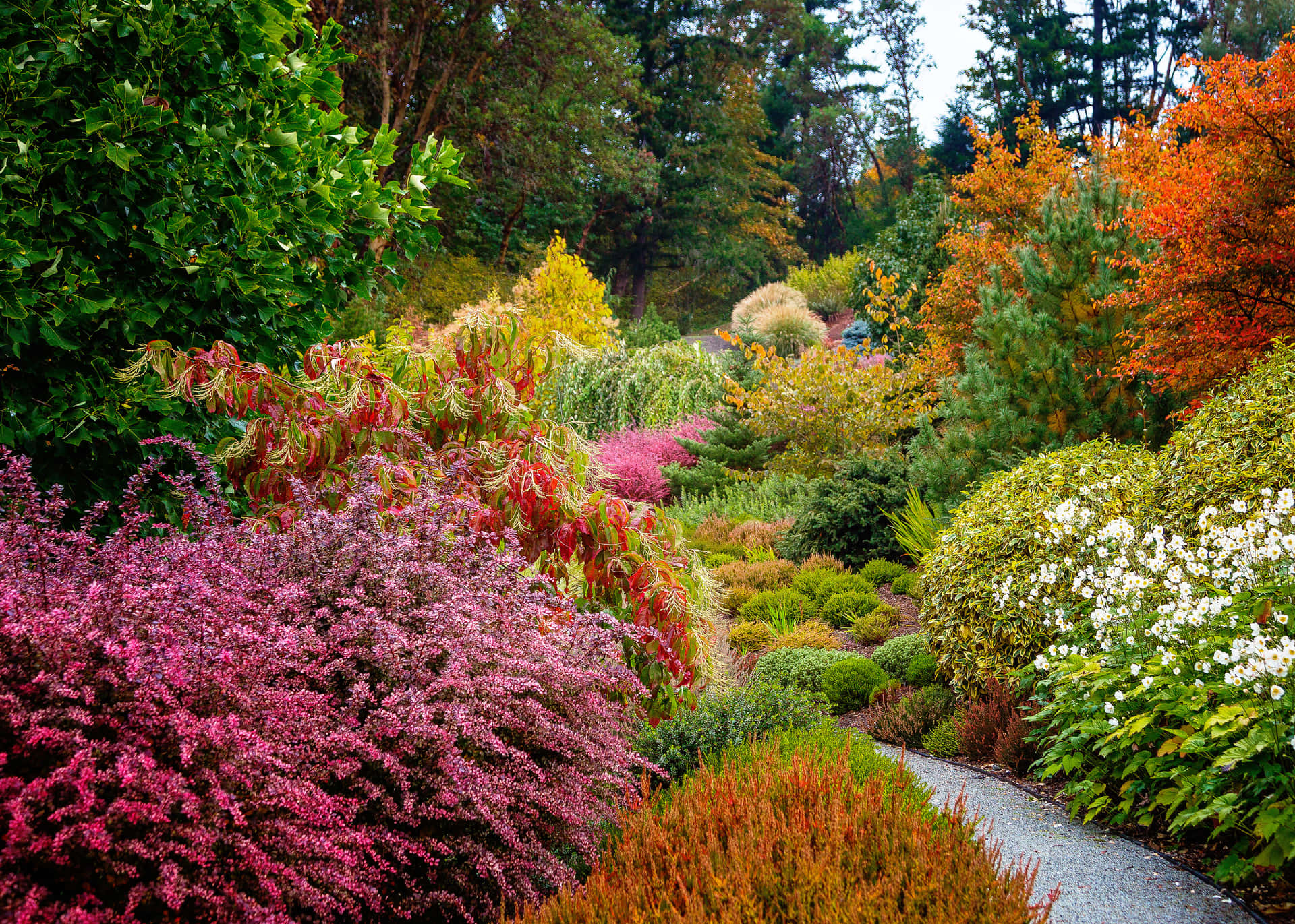 A Path With Colorful Shrubs And Trees