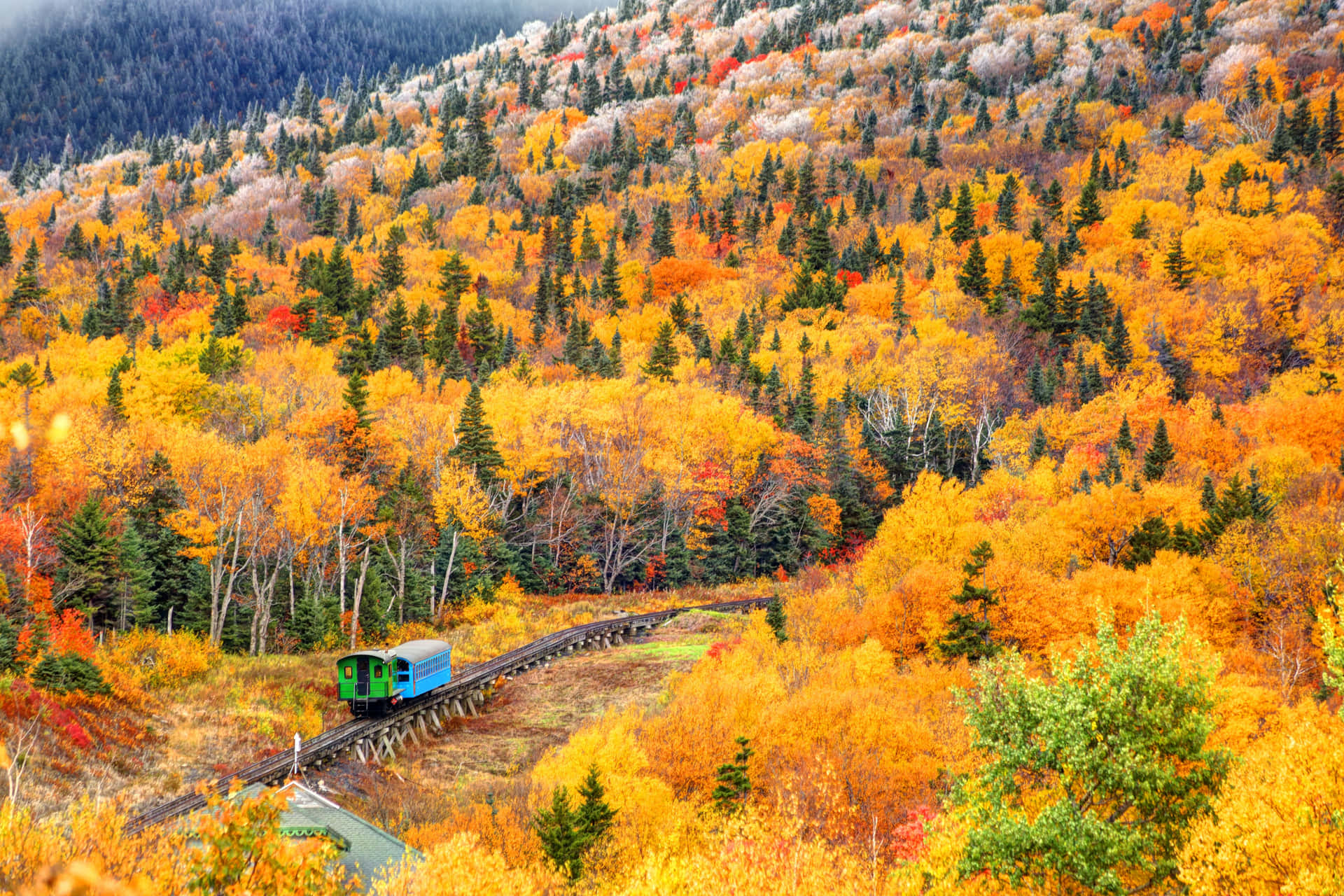 Fångaskönheten I Hösten I Denna Fantastiska Fotograf Av En Matta Av Flerfärgade Nedfallna Löv.