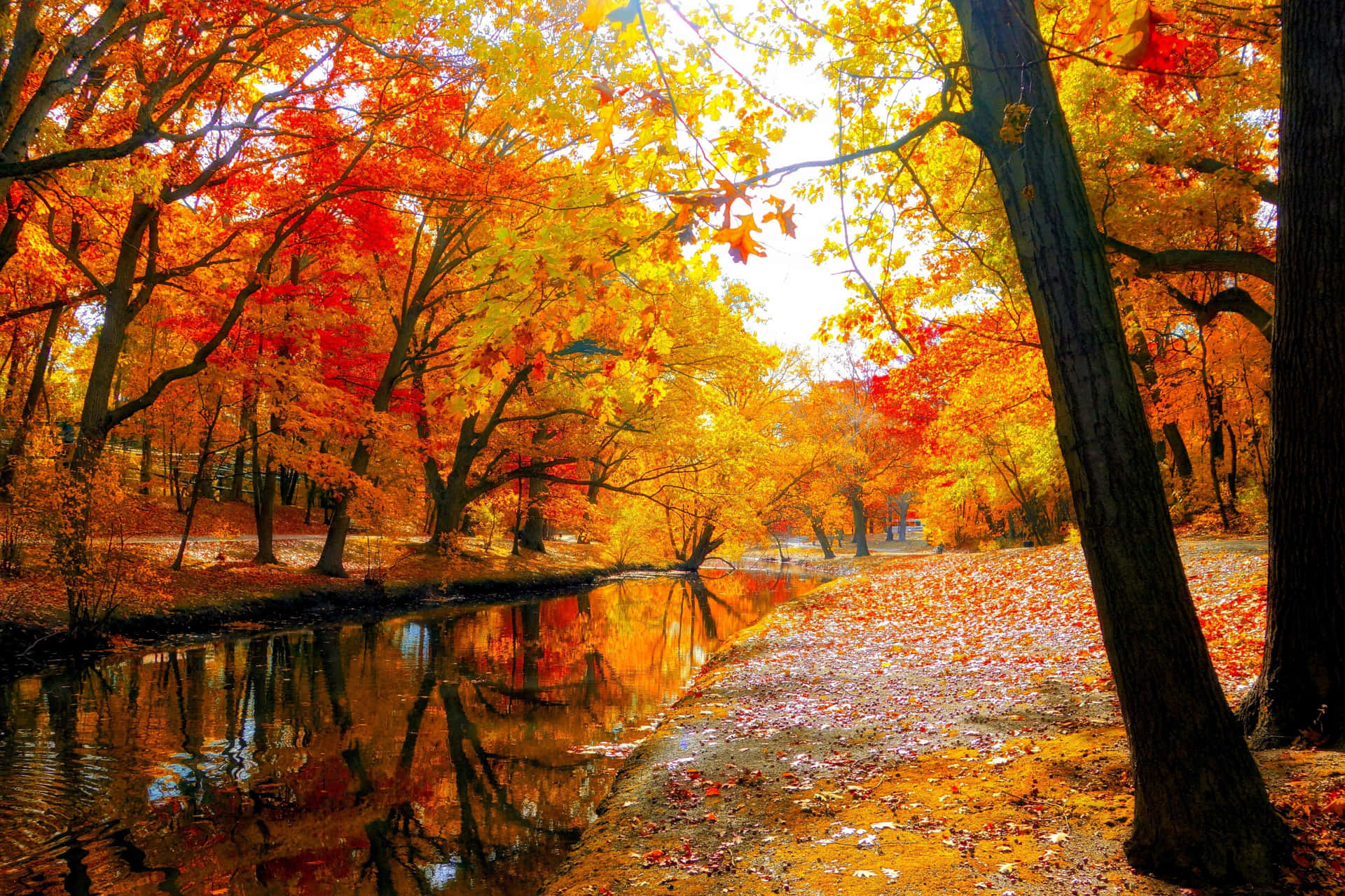 Bask in the Glory of Autumn - A Serene Fall Landscape