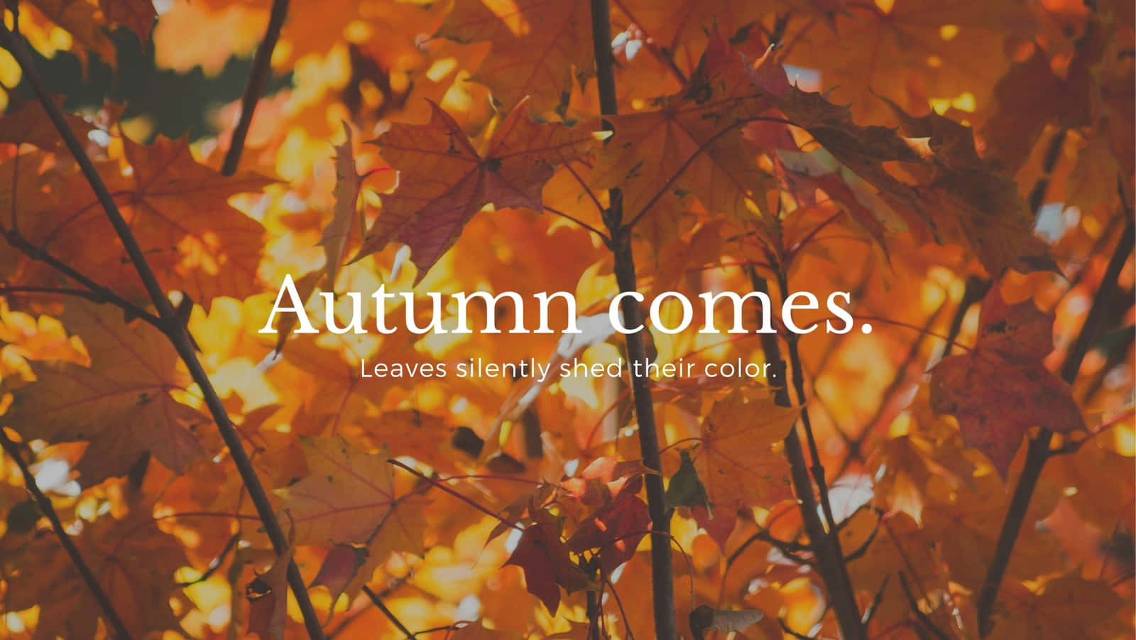 "Let's Celebrate Autumn in All Its Glorious Color"