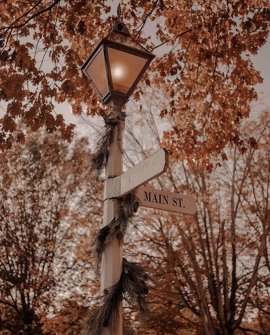 A Street Light With A Sign In The Background