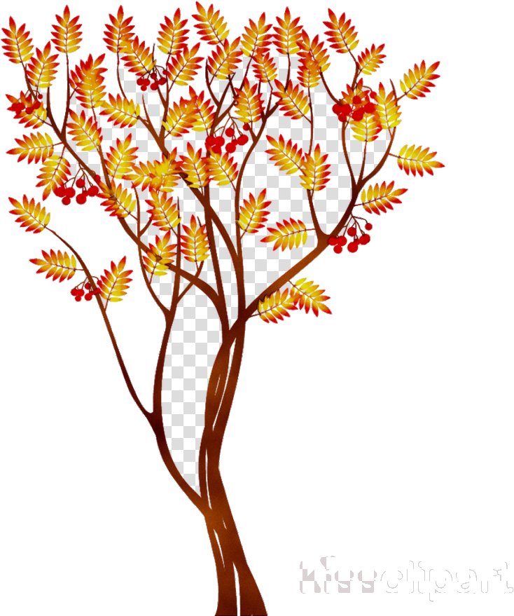 Autumn Flower Tree Transparent Background PNG