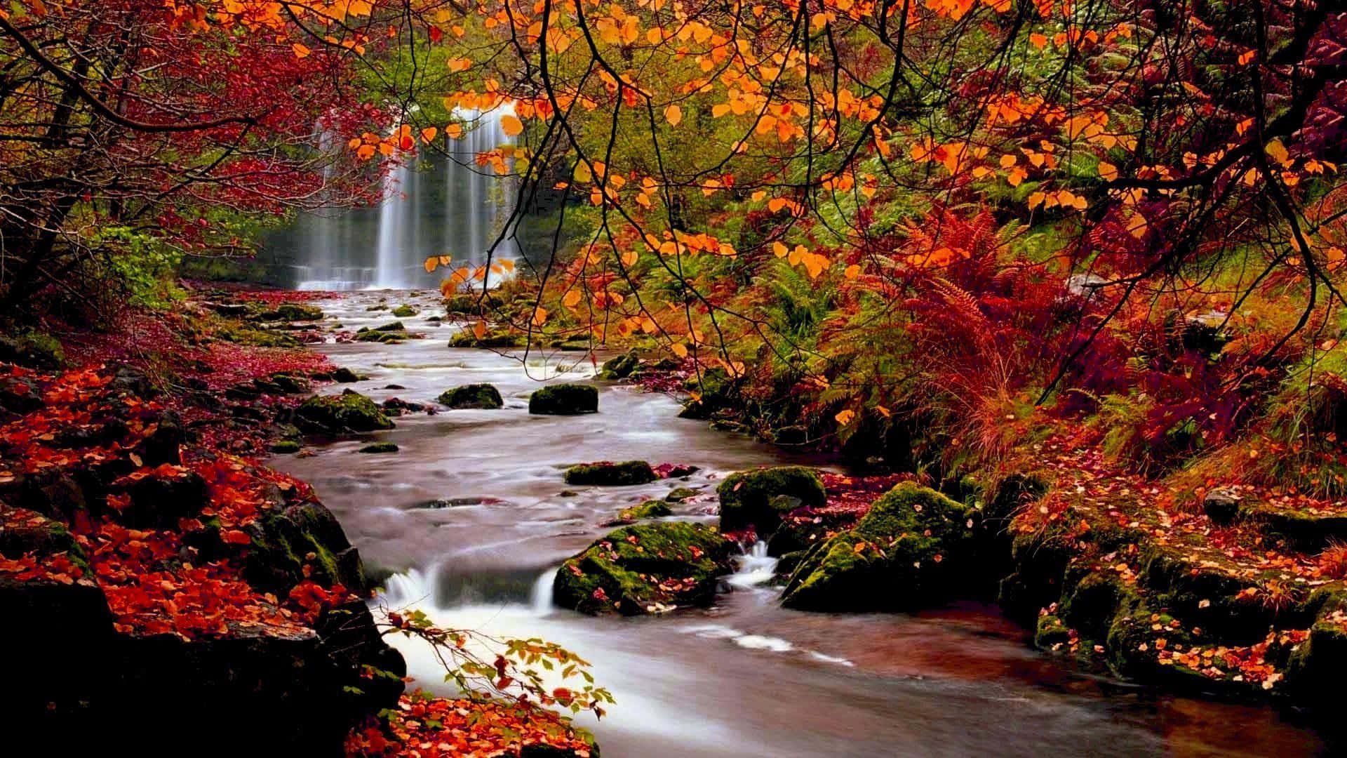 Godendodella Tranquilla Bellezza Di Una Vibrante Foglia D'autunno Sfondo