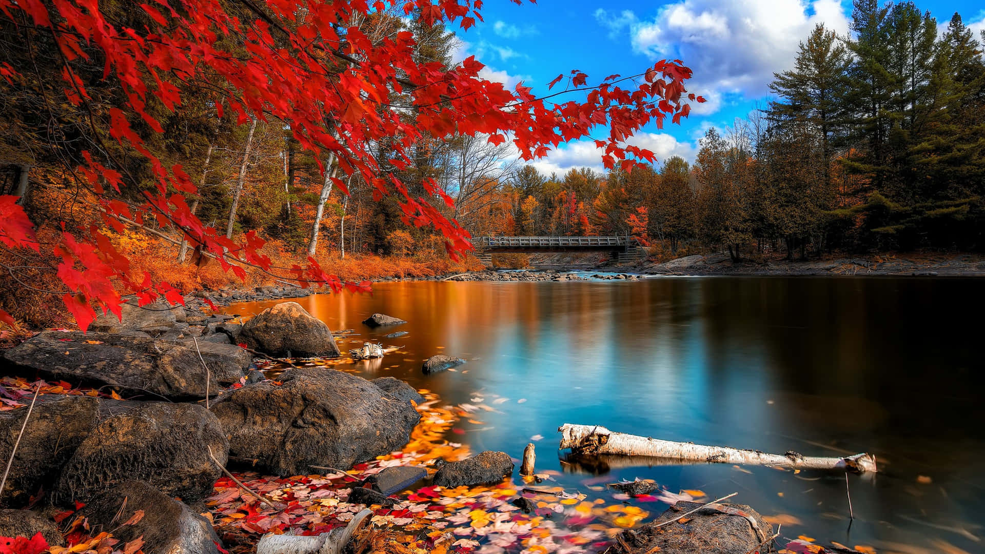 En sø med røde blade og sten, der stikker ud fra vandet Wallpaper