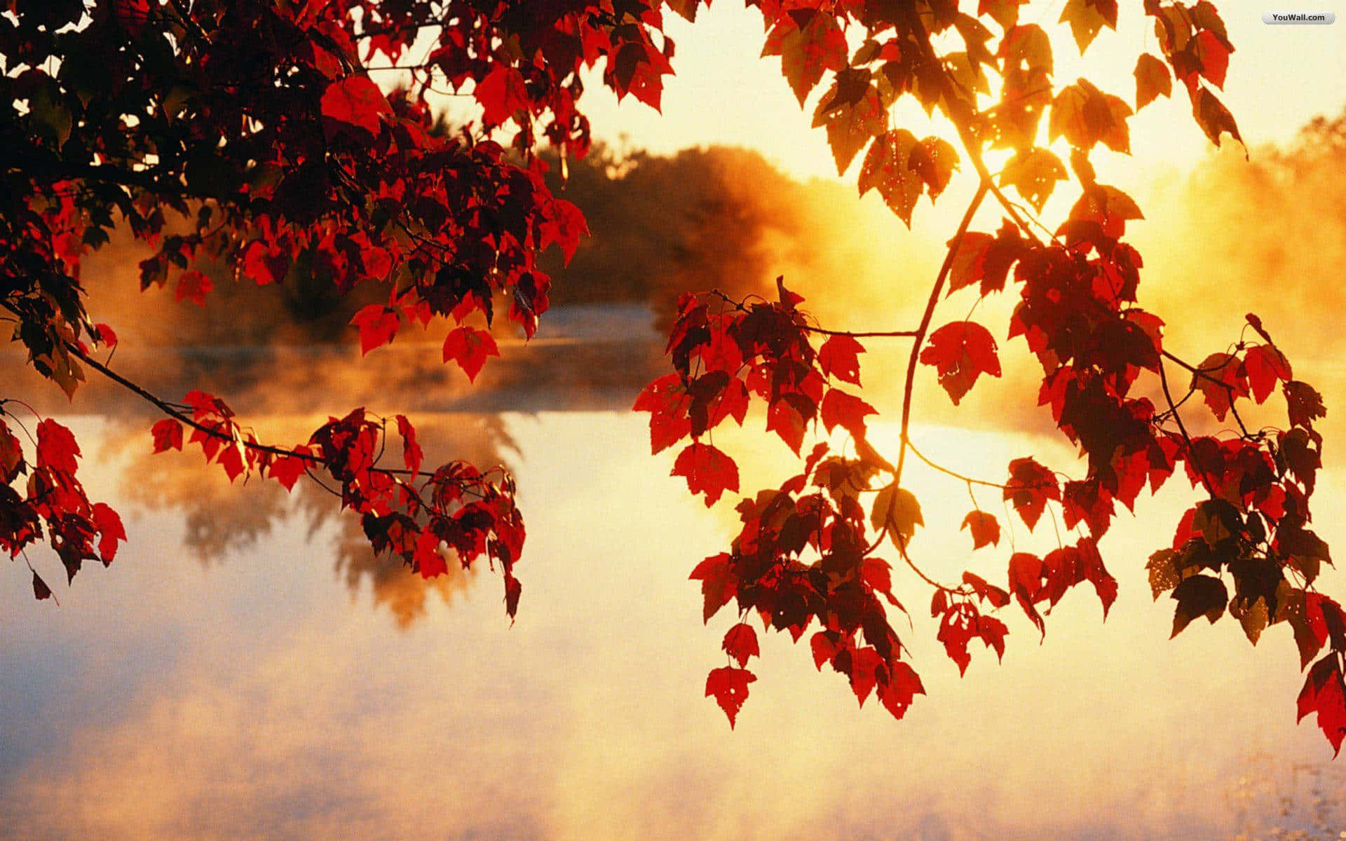 "The beauty of Autumn Foliage on a peaceful lake" Wallpaper