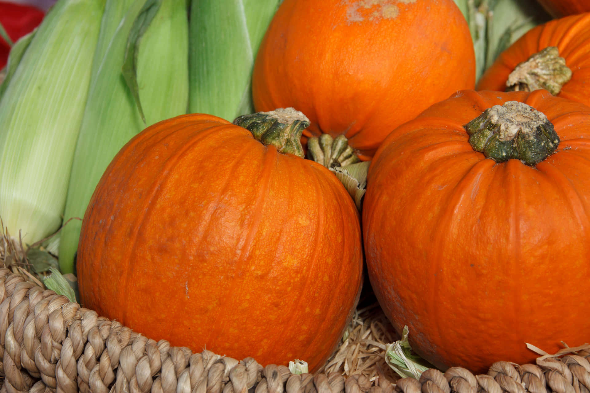 Deliciosobanquete De Comida De Otoño. Fondo de pantalla